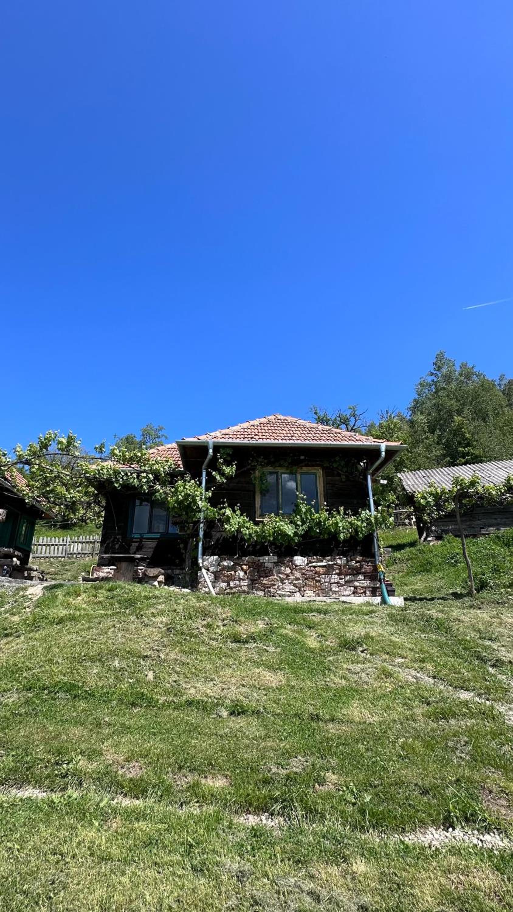 Cioclovina Tribe