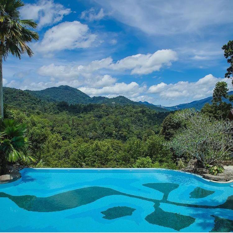 Kebun Rimba Janda Baik photo 8