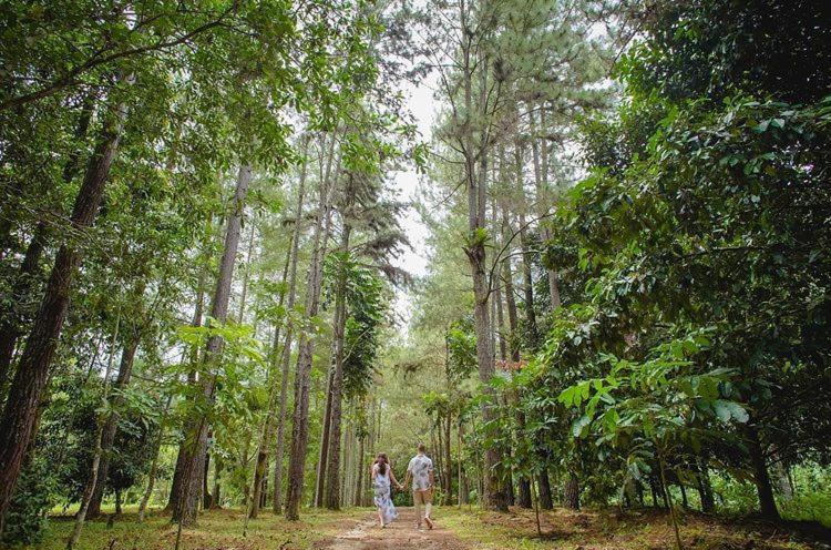 Kebun Rimba Janda Baik photo 6