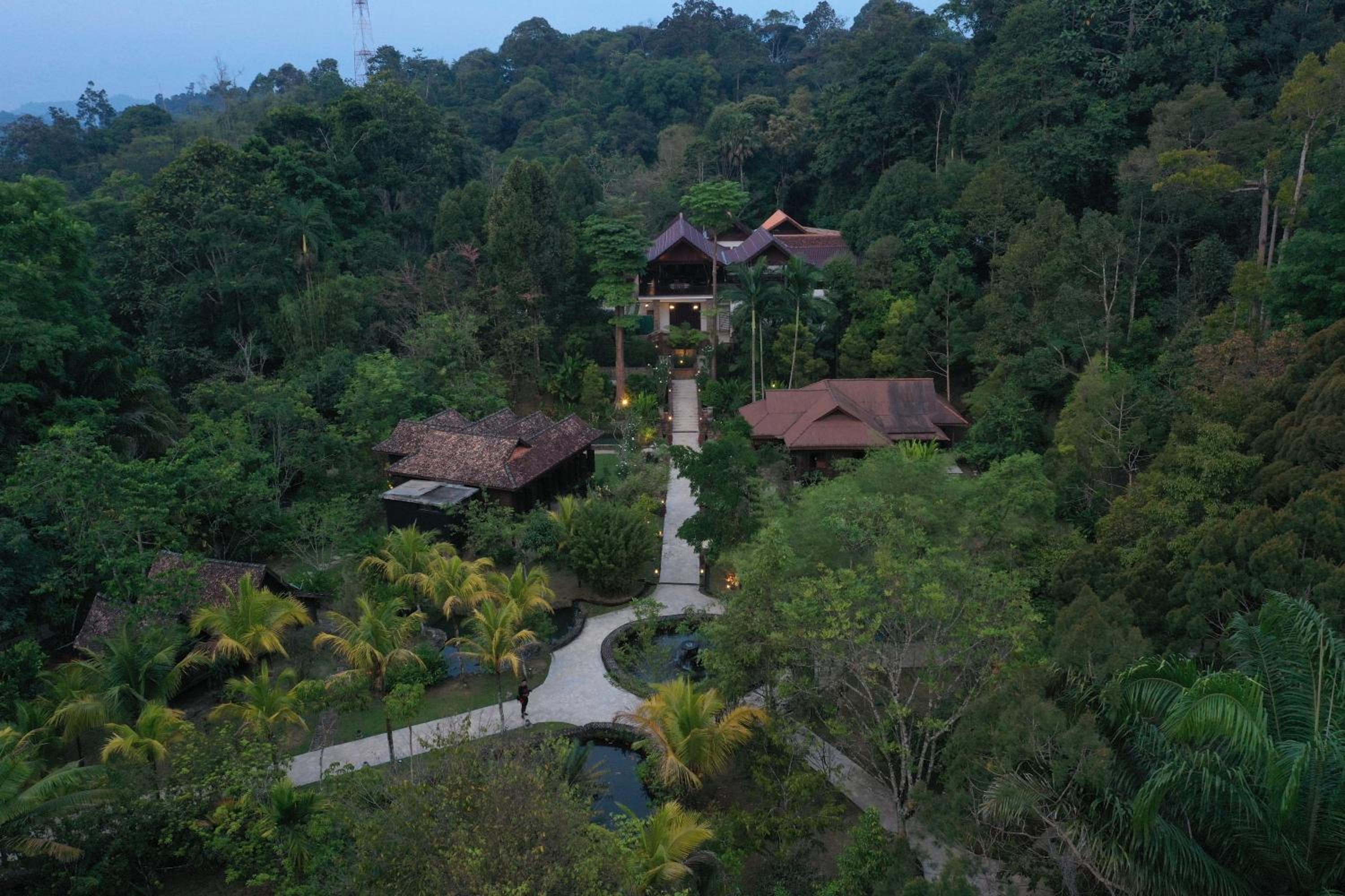 Kebun Rimba Janda Baik view 4