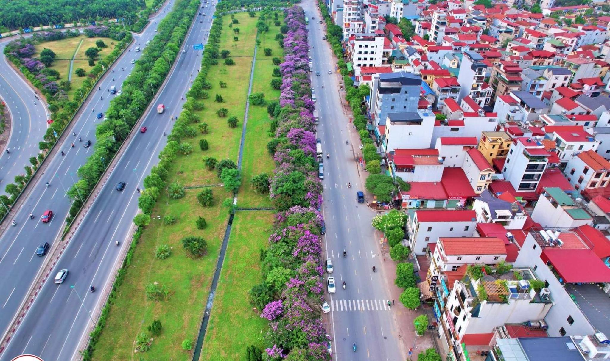 Lee Homestay
