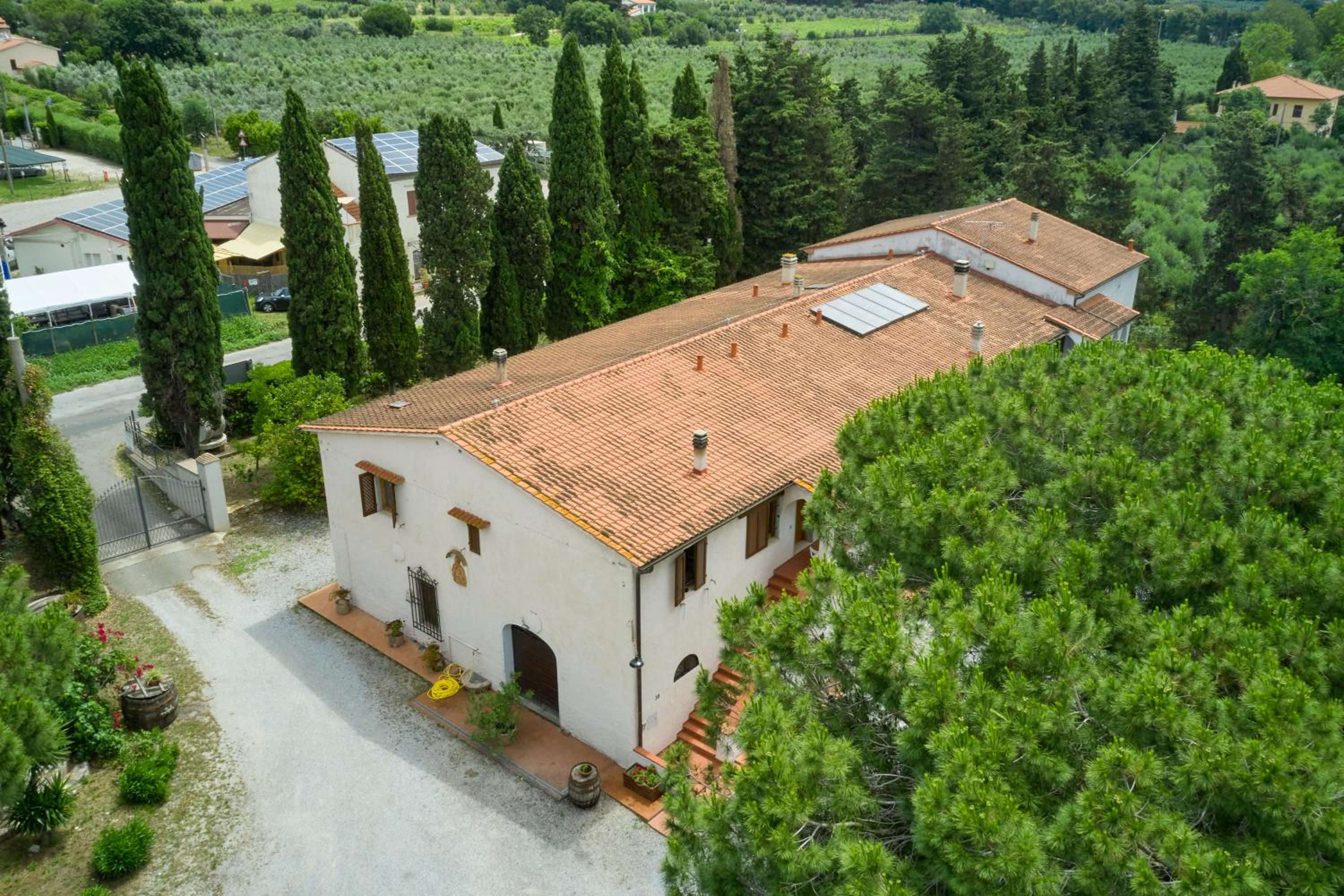 Antichi Palmenti - Mirto view 5