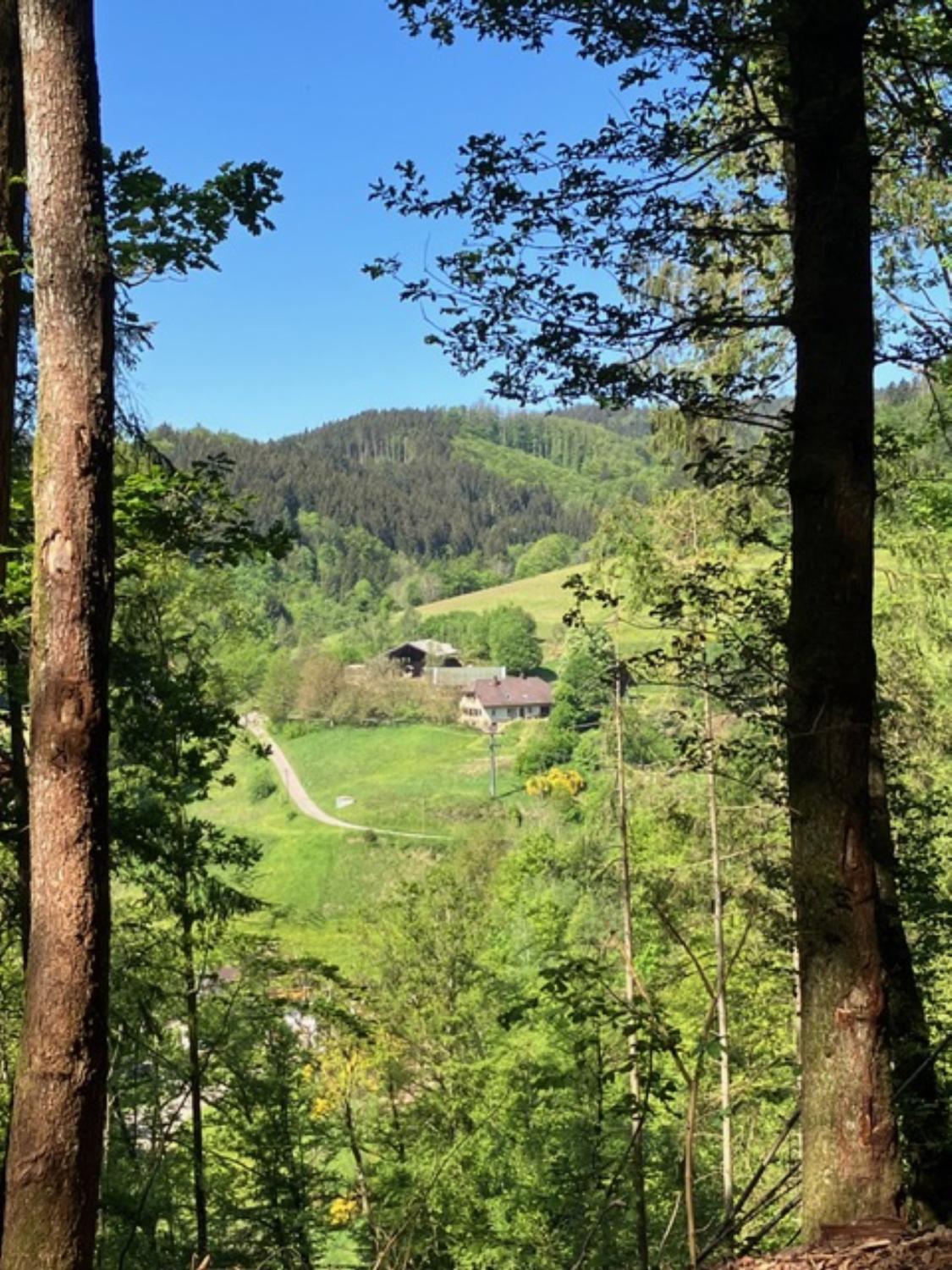 Auszeit im Waldhaus