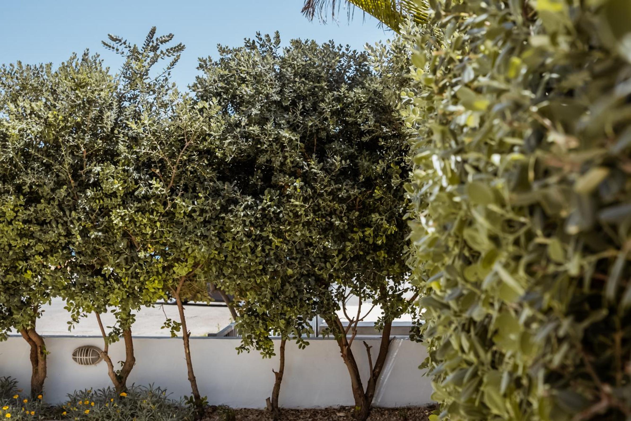 Elli Seaside Villa