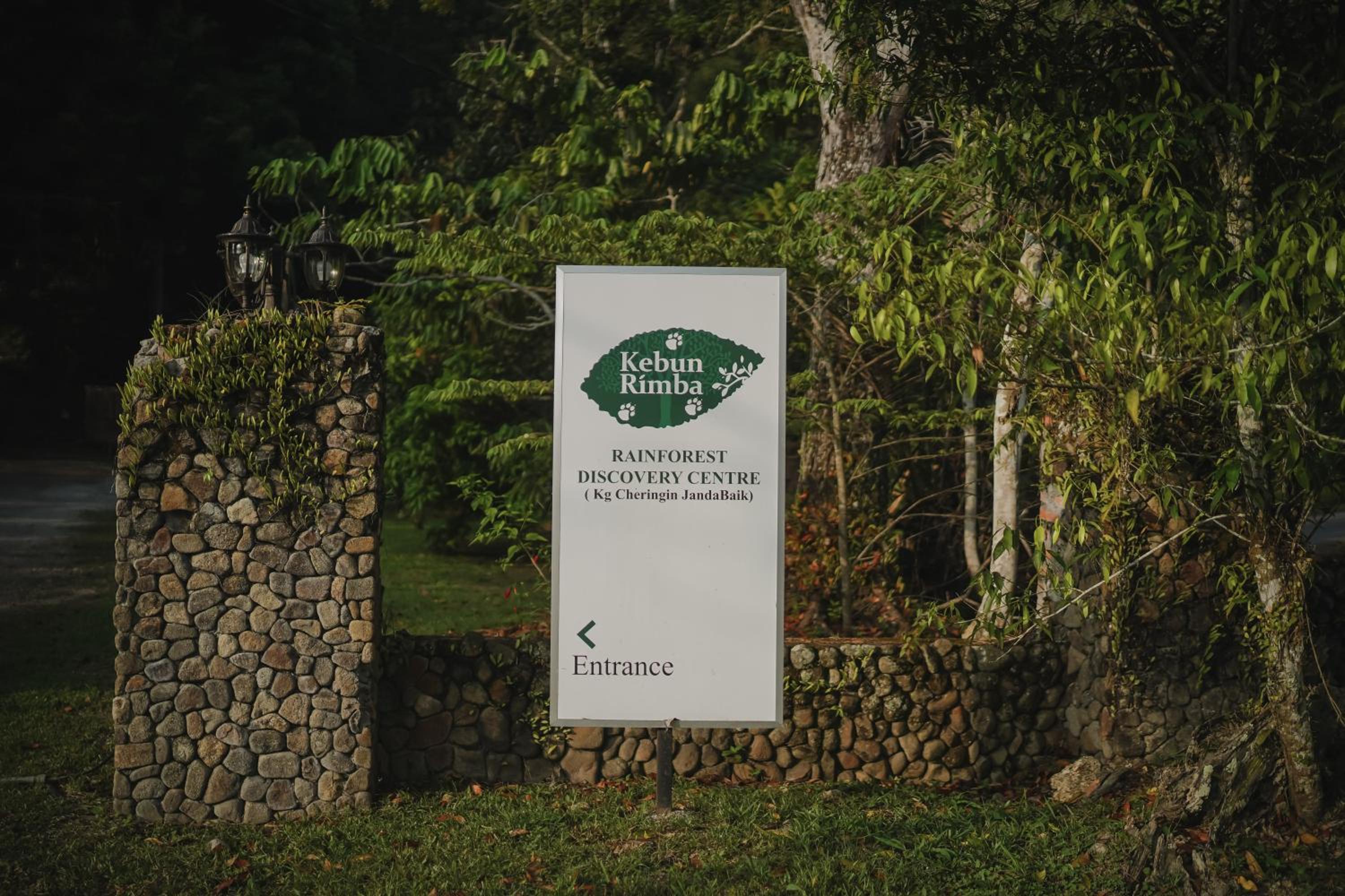 Kebun Rimba Janda Baik view 2