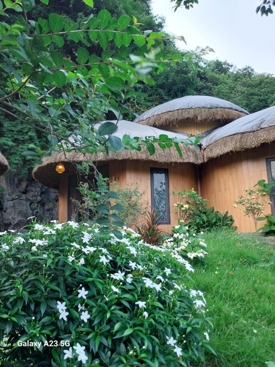 Trang An Royal Bungalow