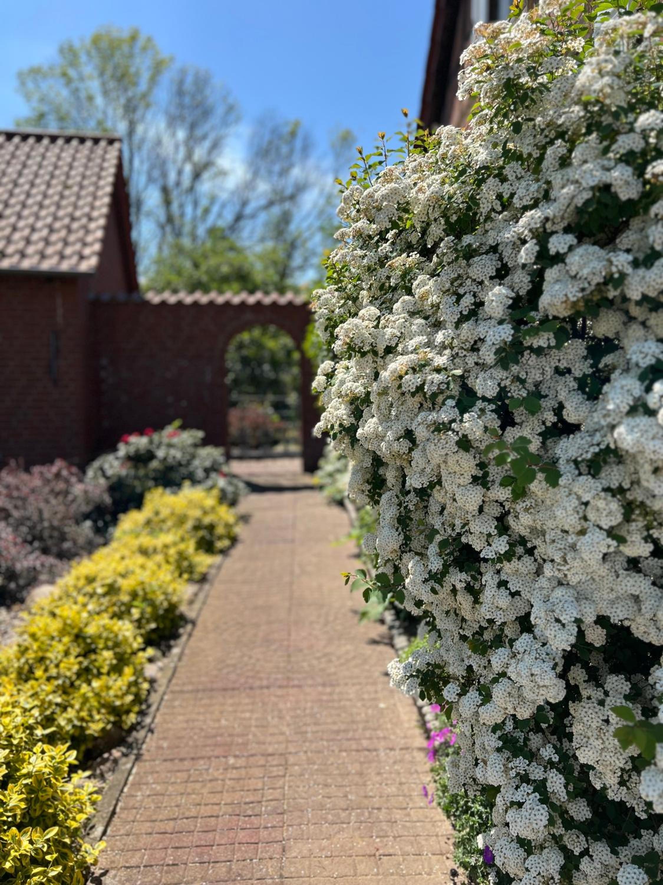Elbwiesenhaus mit schönen Garten