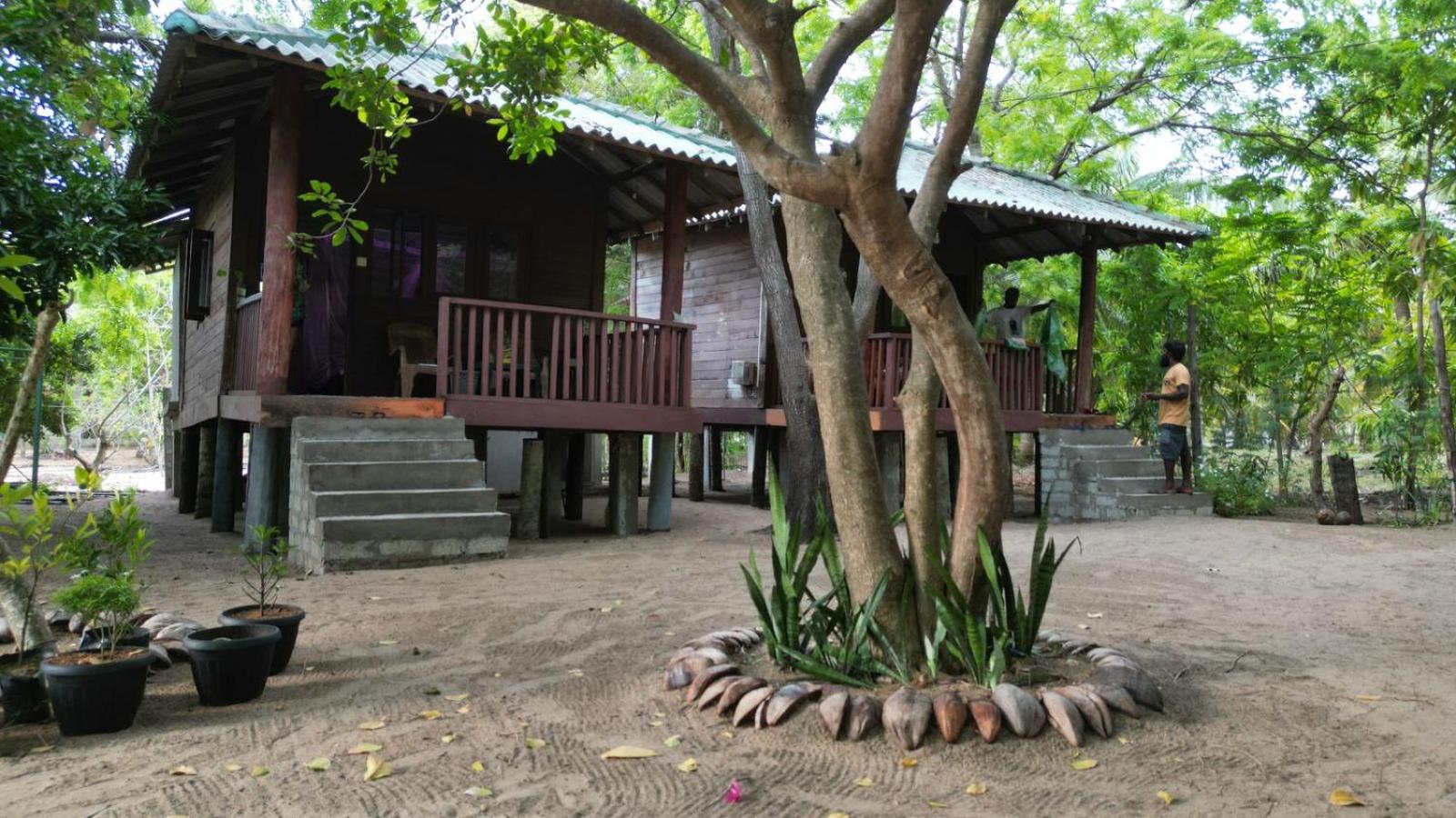 Photo 19