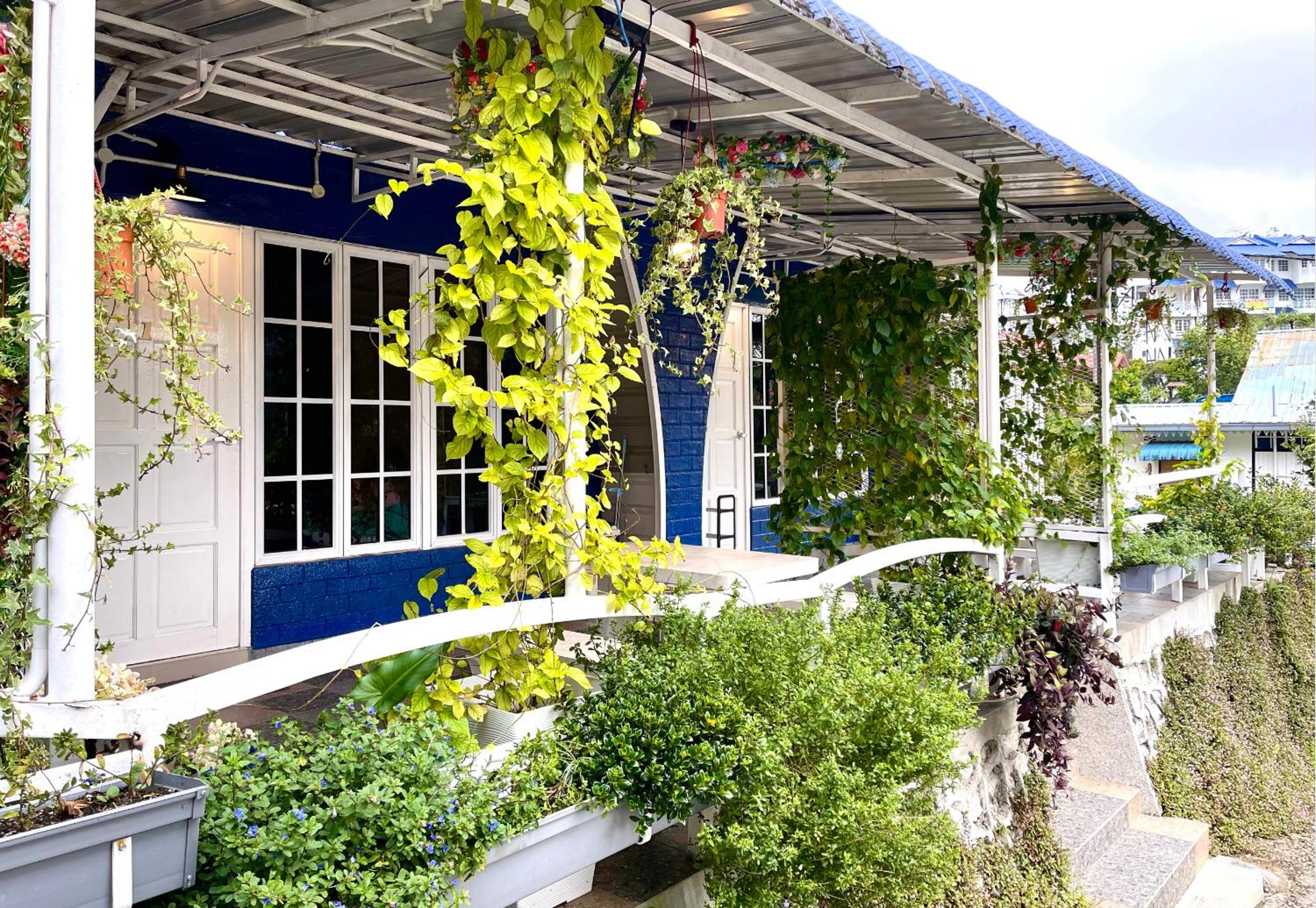 Blue Cabins By Pfordten Cottage — photo 11