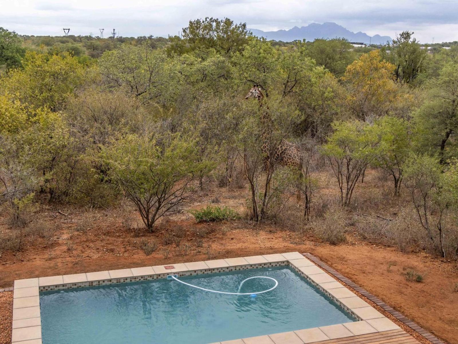 Afrikaya Villas view 2