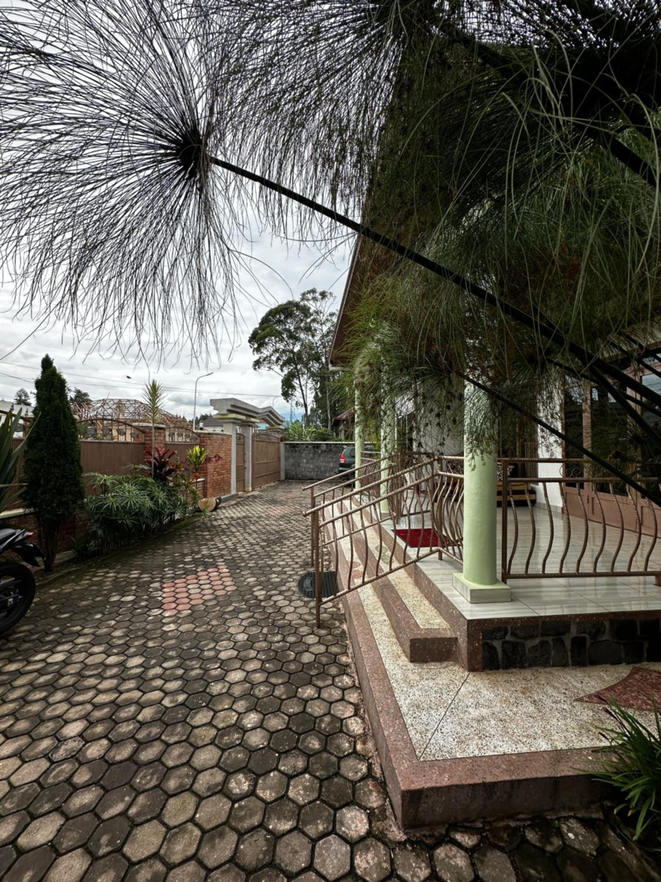 Photo 13