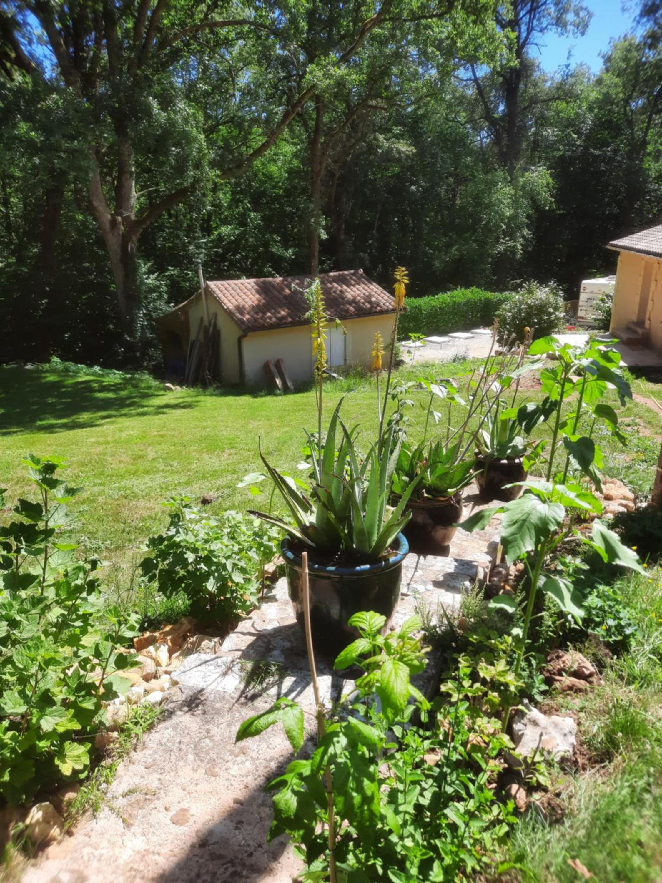 La Forêt des Trois Hiboux - Le Clos Napoleon Bed&Breakfast