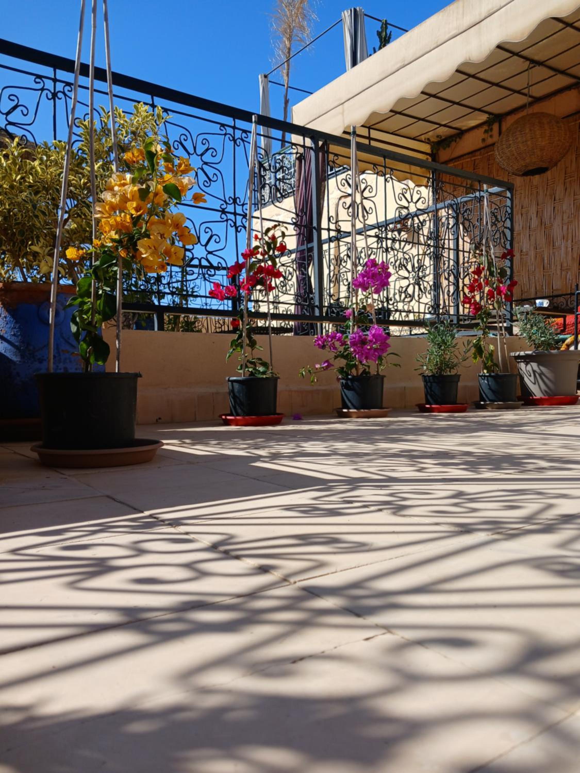Riad Dantella
