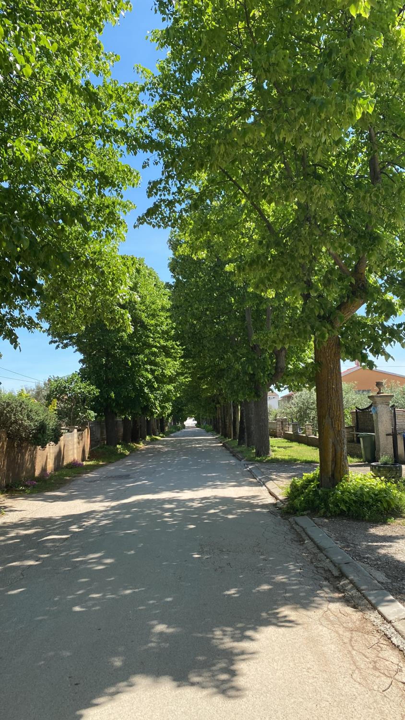 Apartment Vodnjan