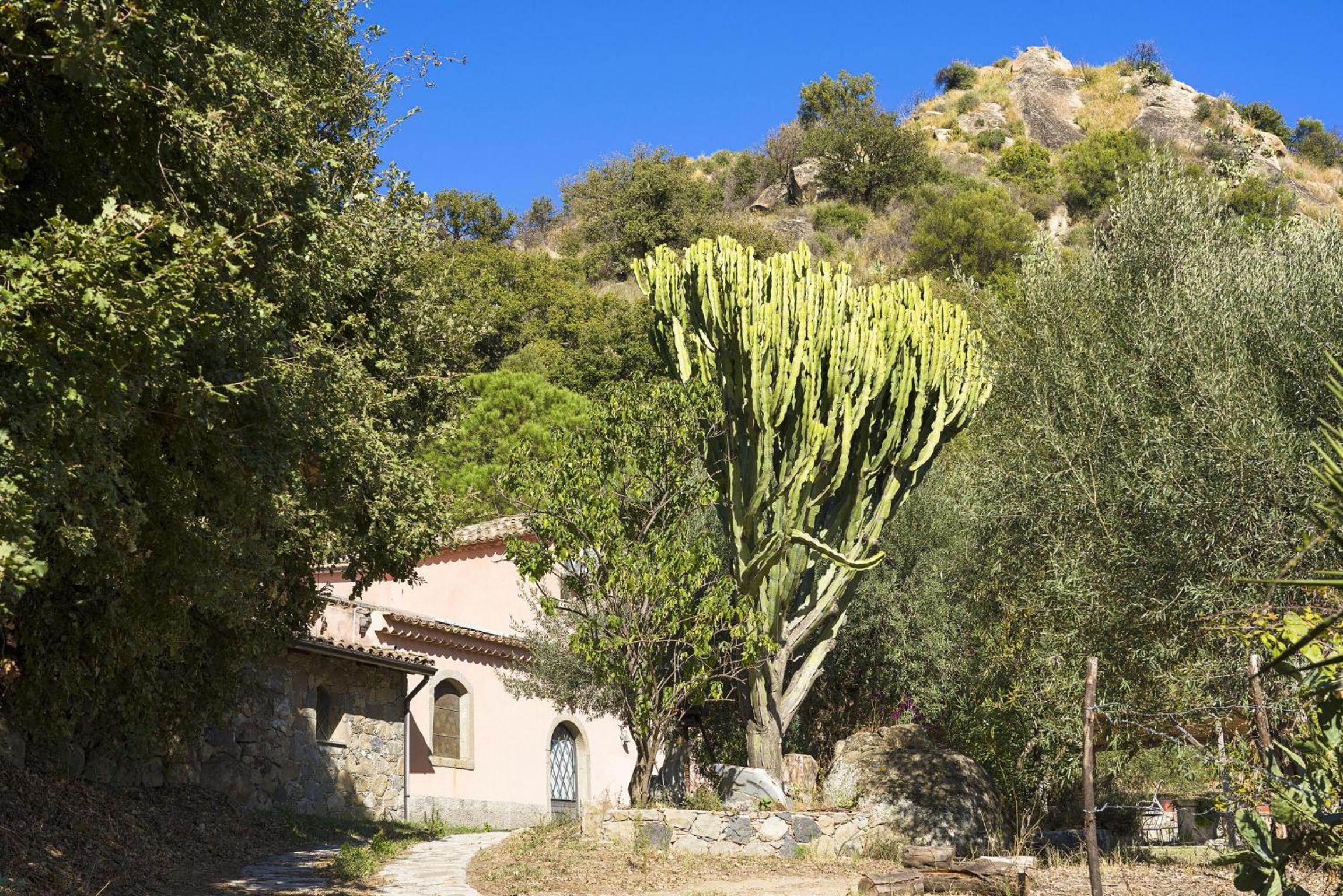 Photo 28