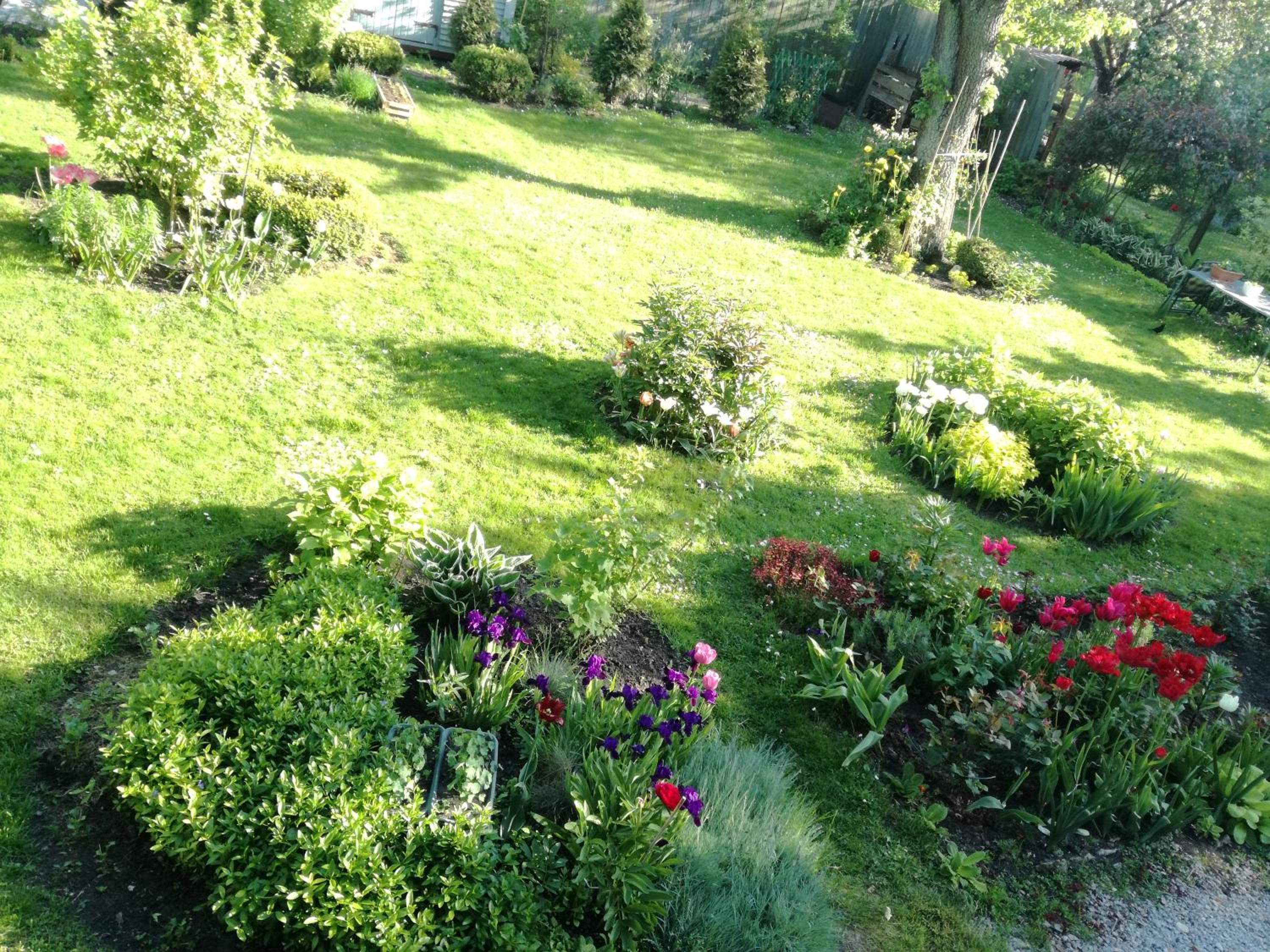 Photo 10