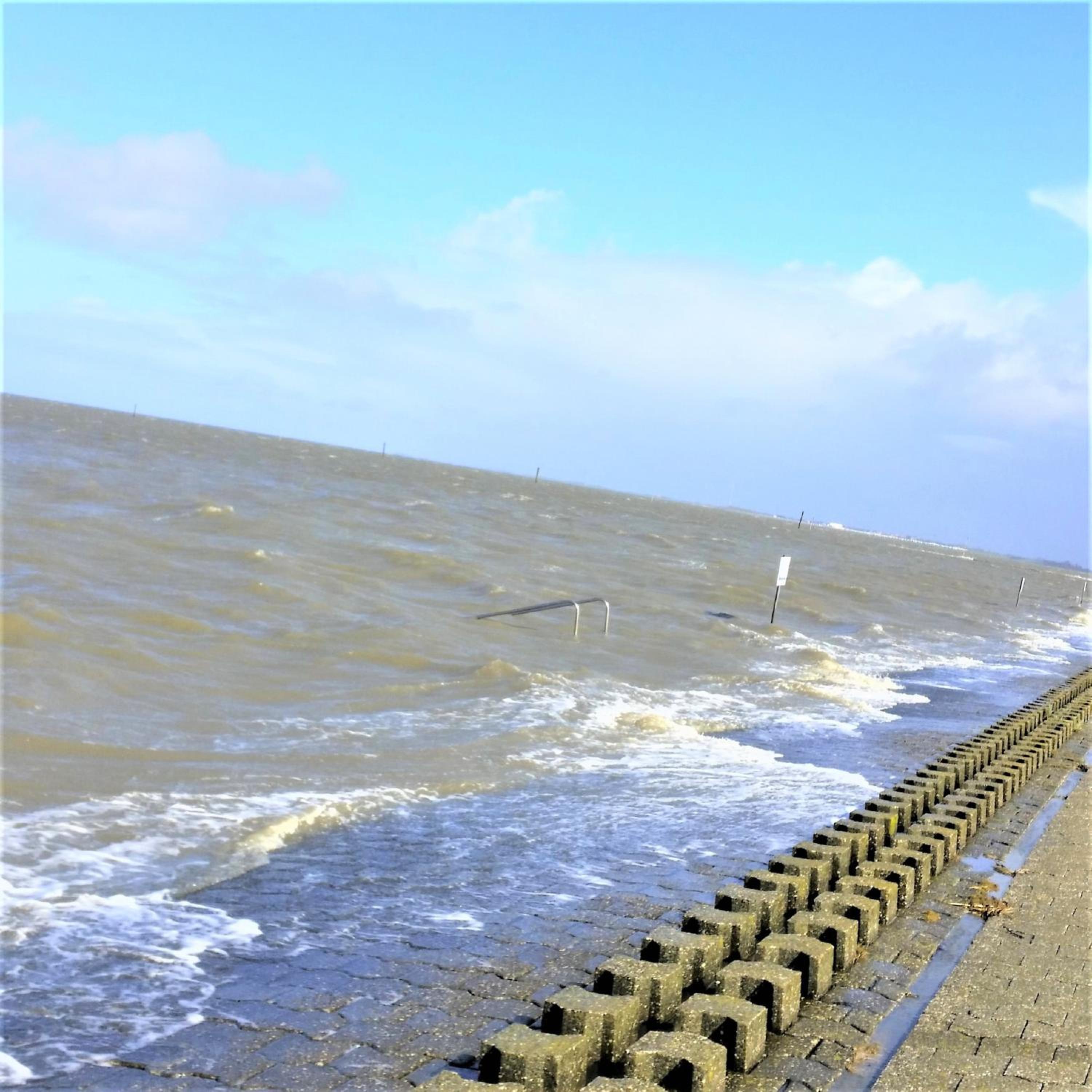 Ferienwohnung 1 Nordsee Gulfhof Dornum - mit großem Garten