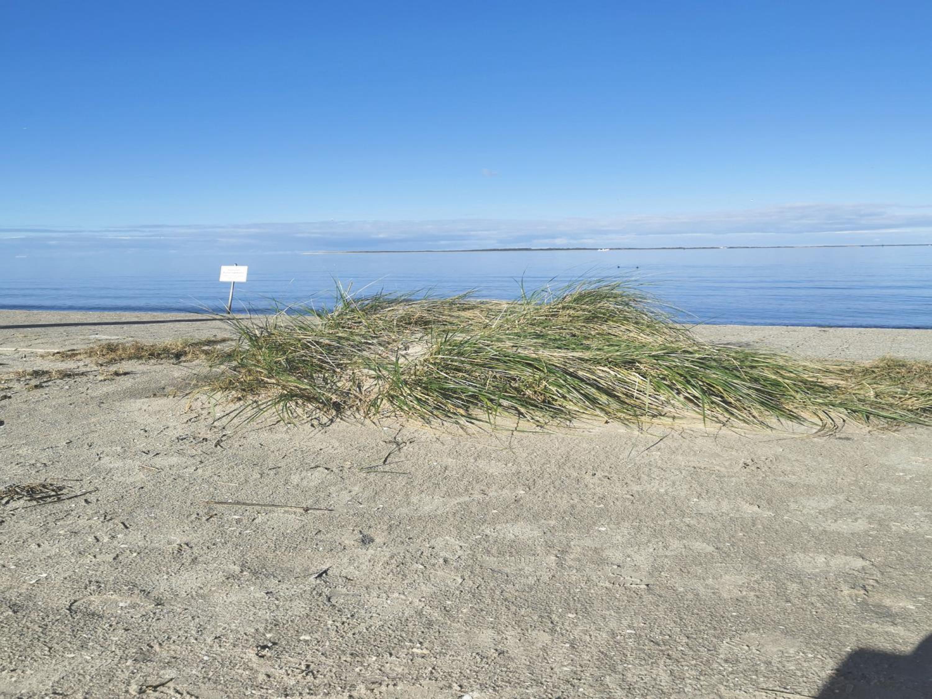 Ferienwohnung 1 Nordsee Gulfhof Dornum - mit großem Garten