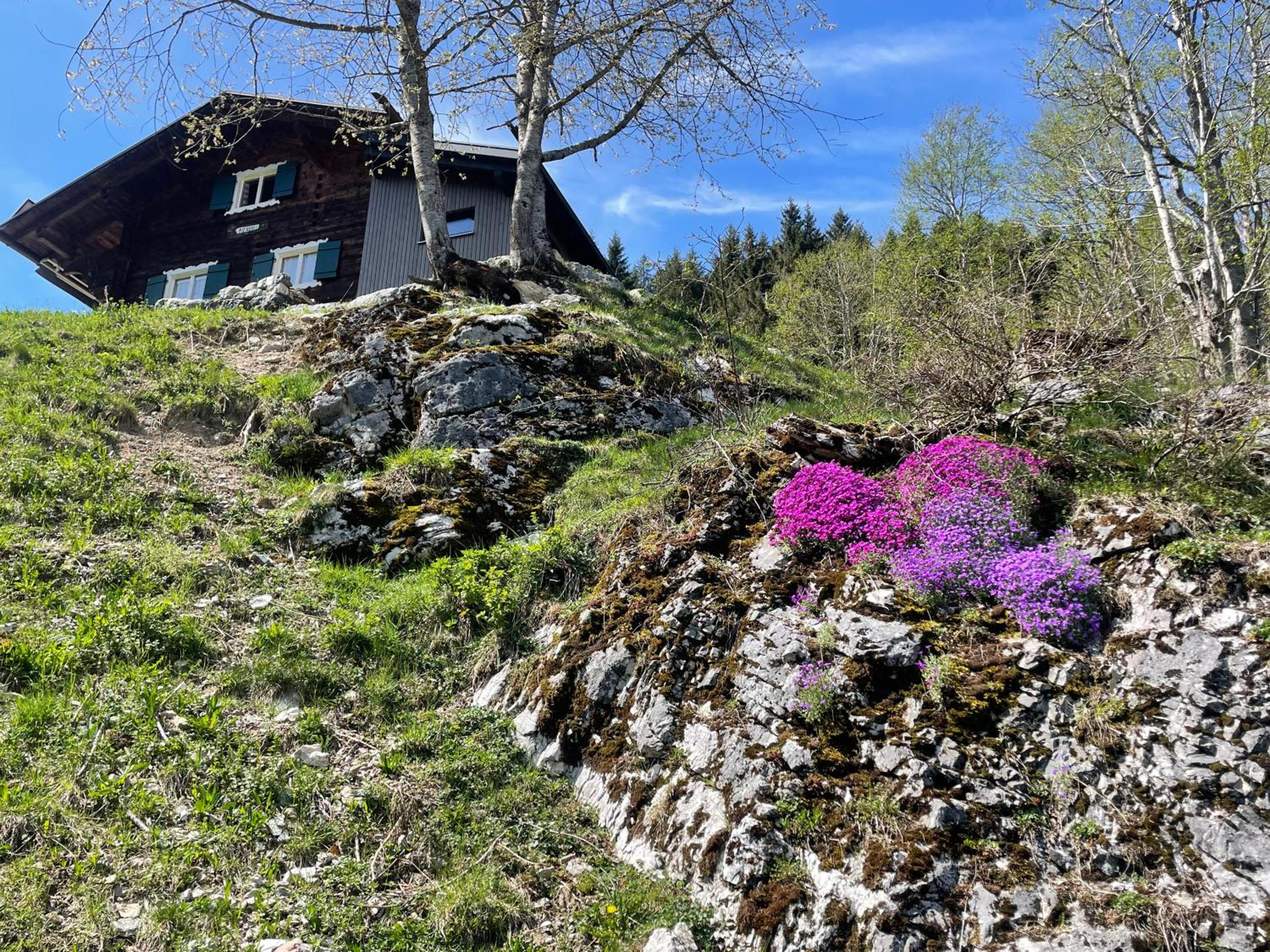 Alpenchalet Piz Hüsli