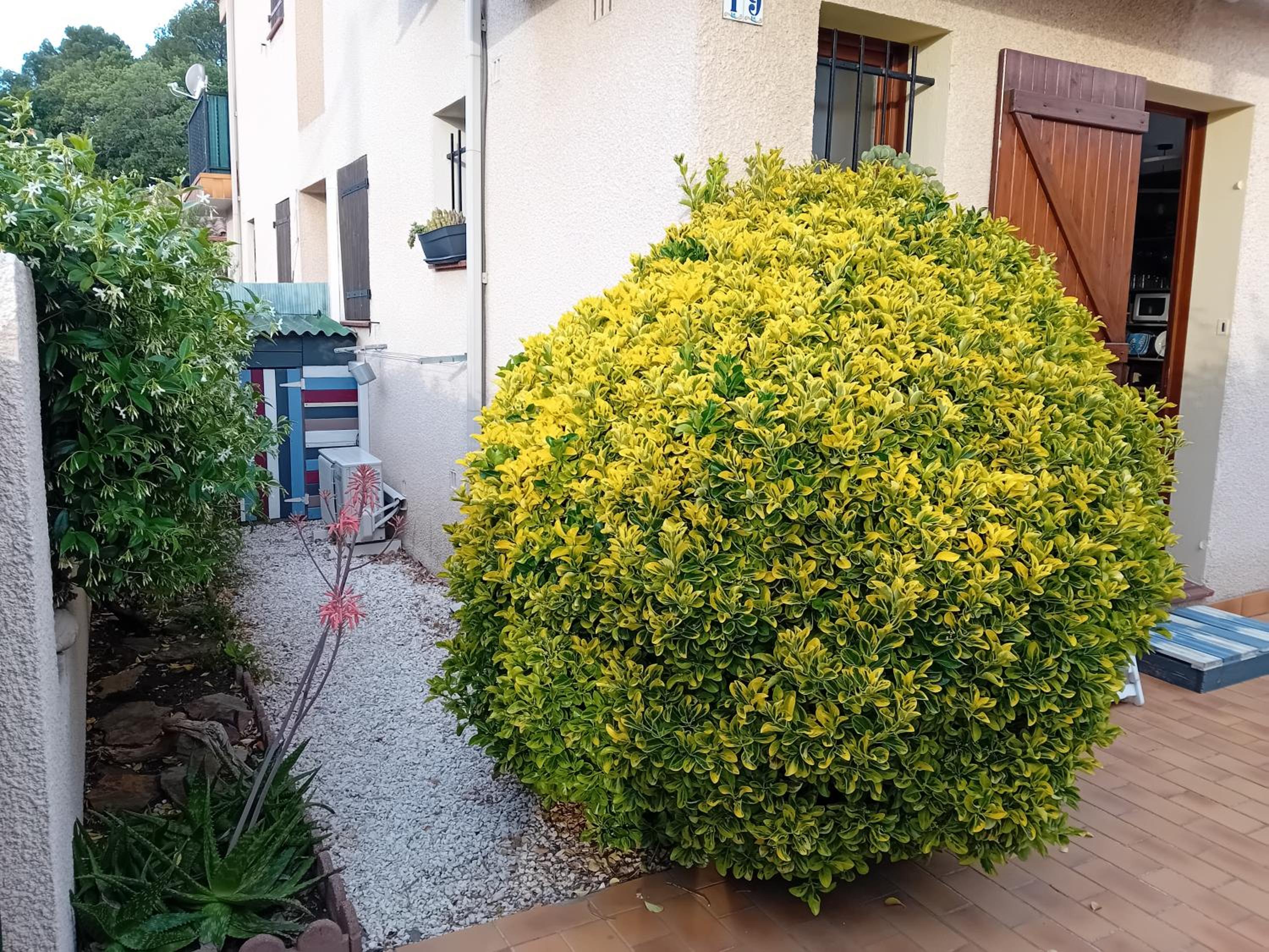Le Racou, photo 3