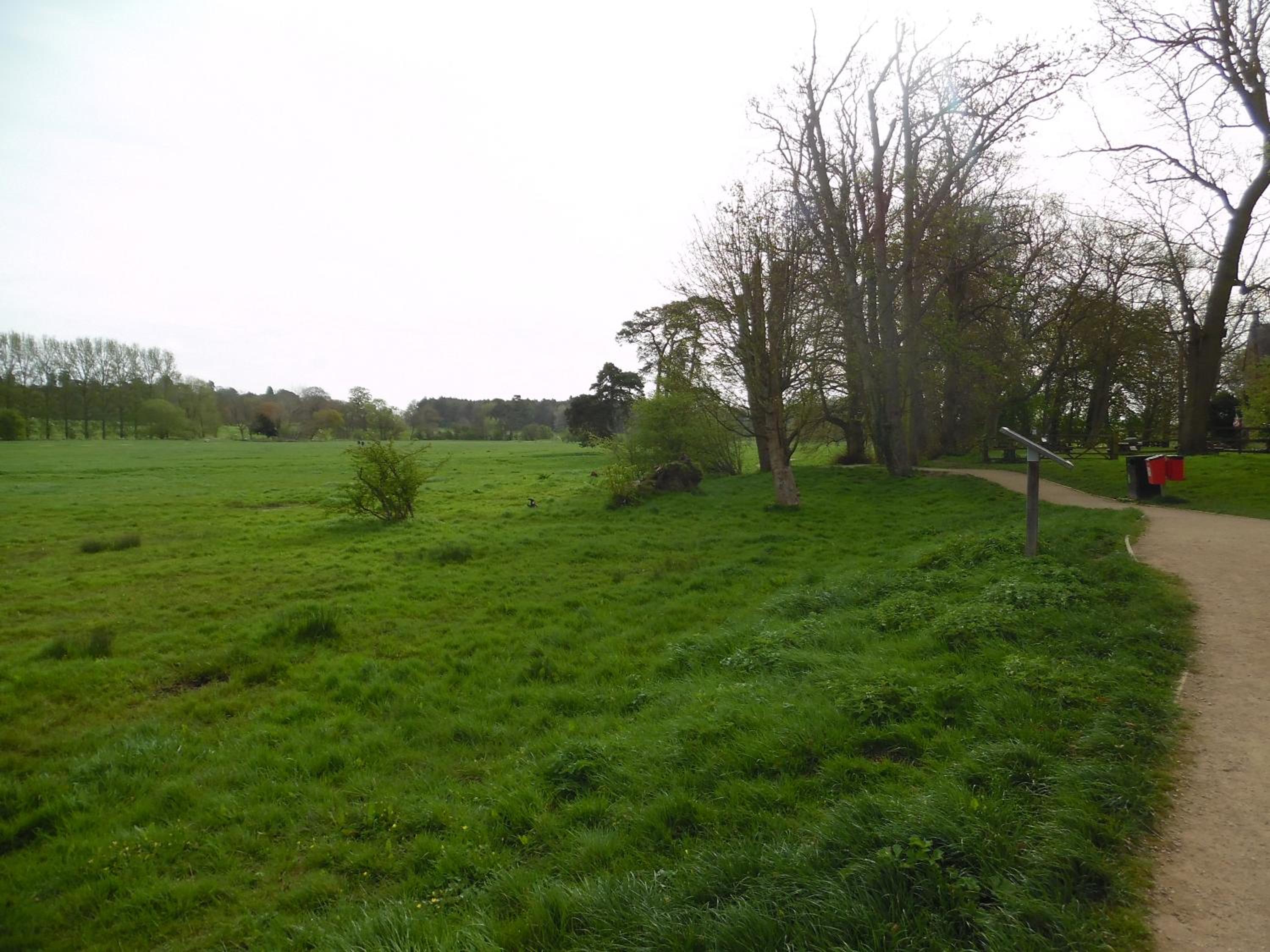 Photo 24