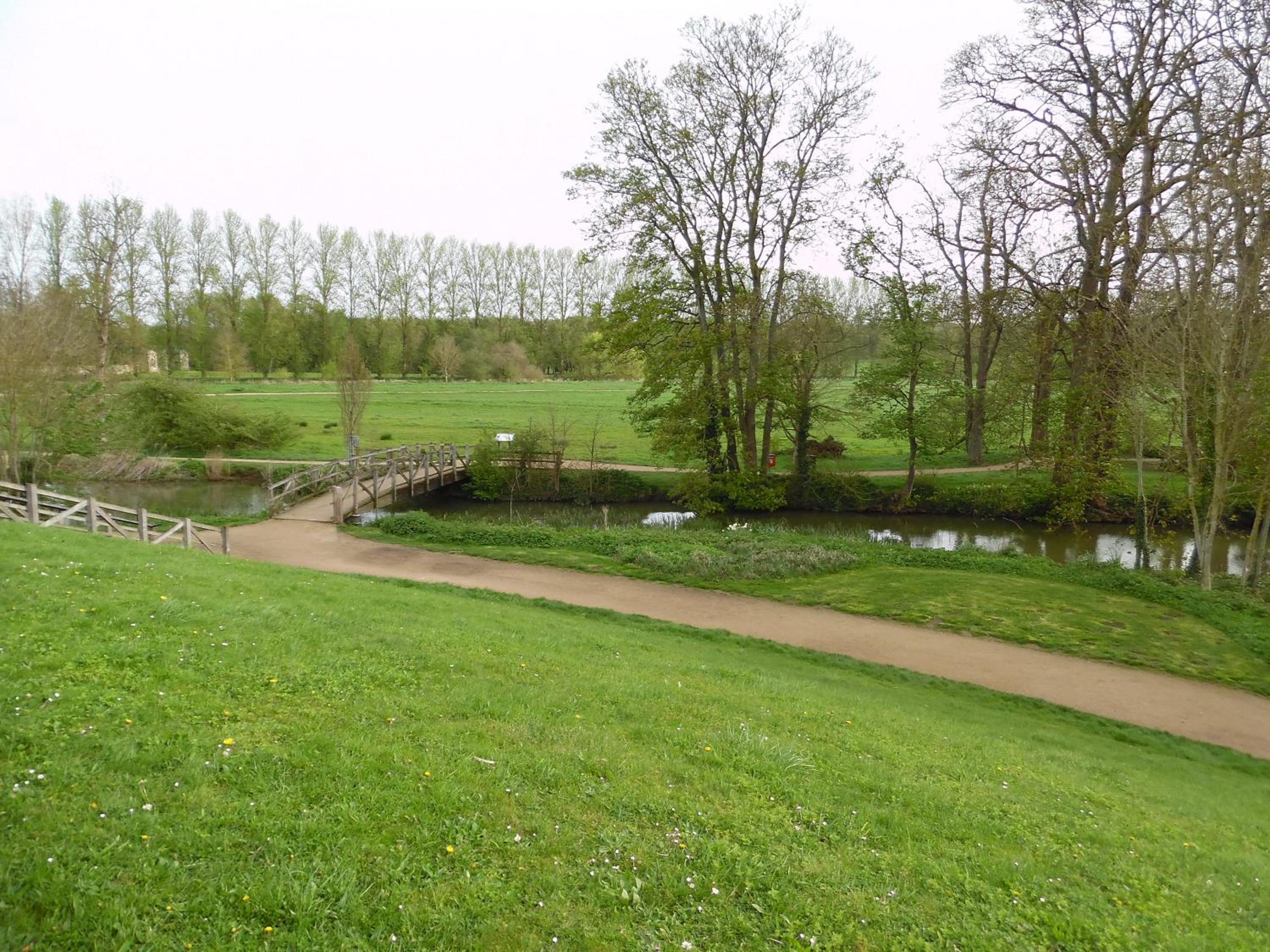 Photo 29