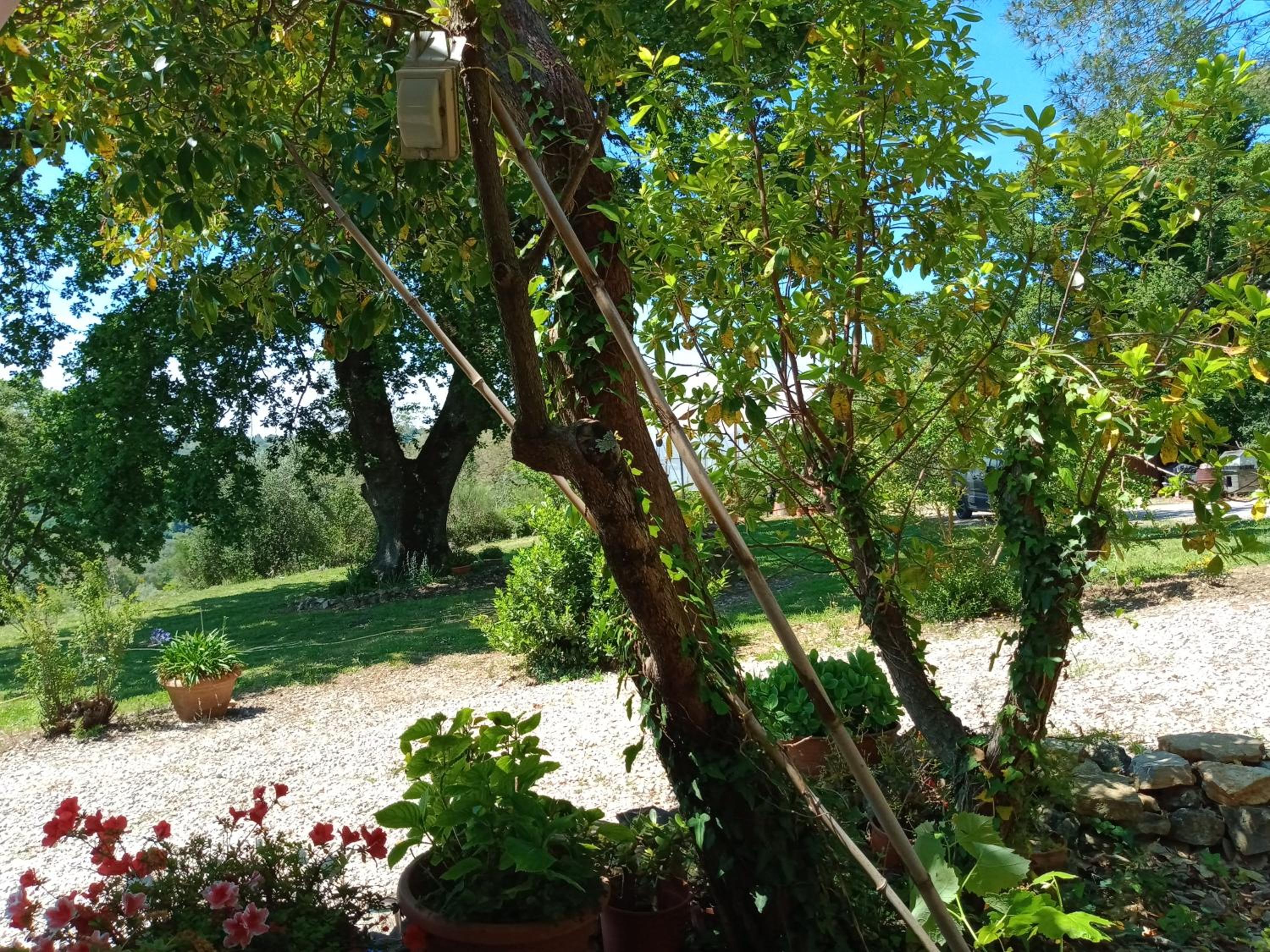 Casetta in campagna. Bilocale con veranda view 2