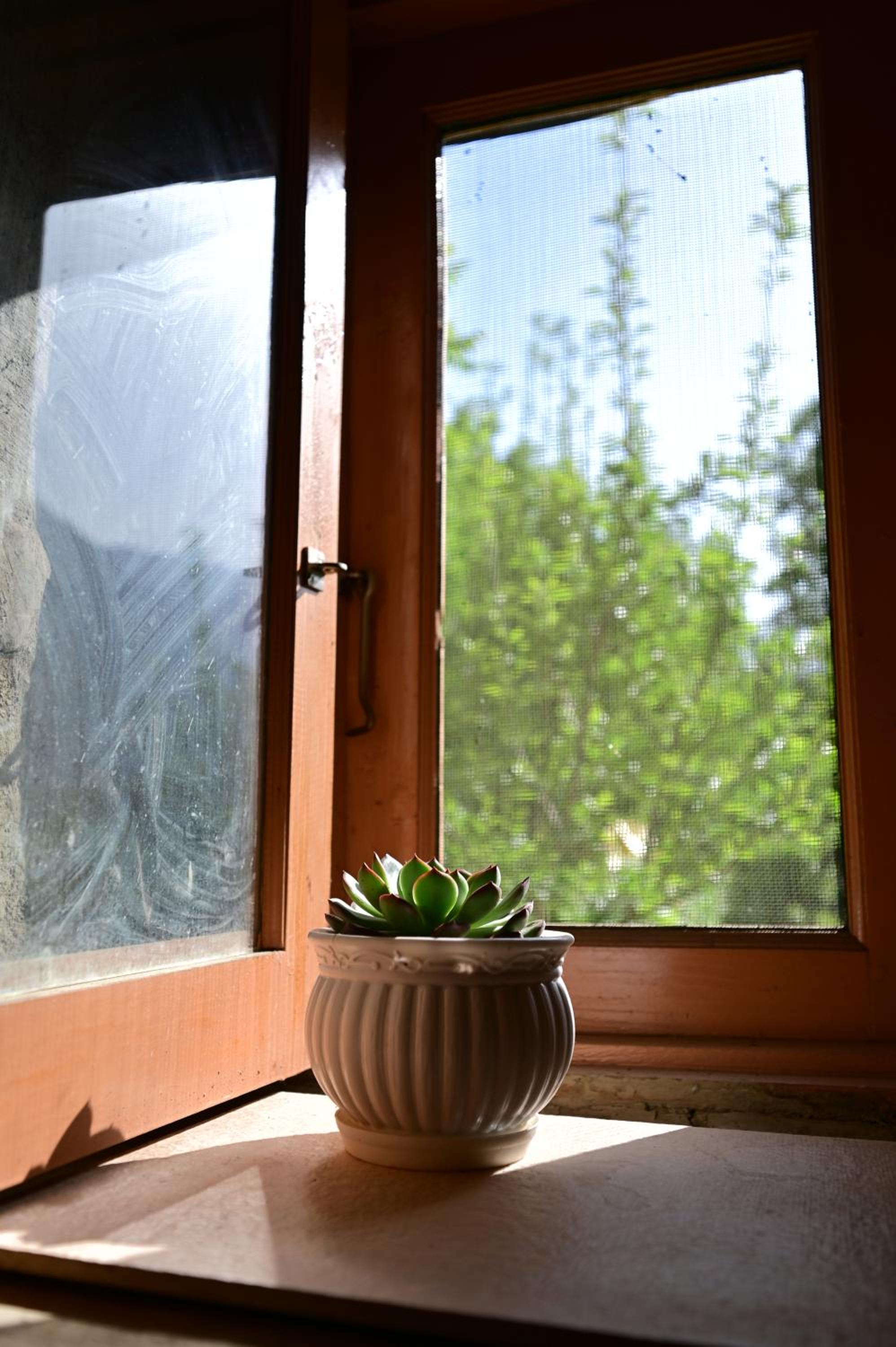 Himalayan Mud Resort
