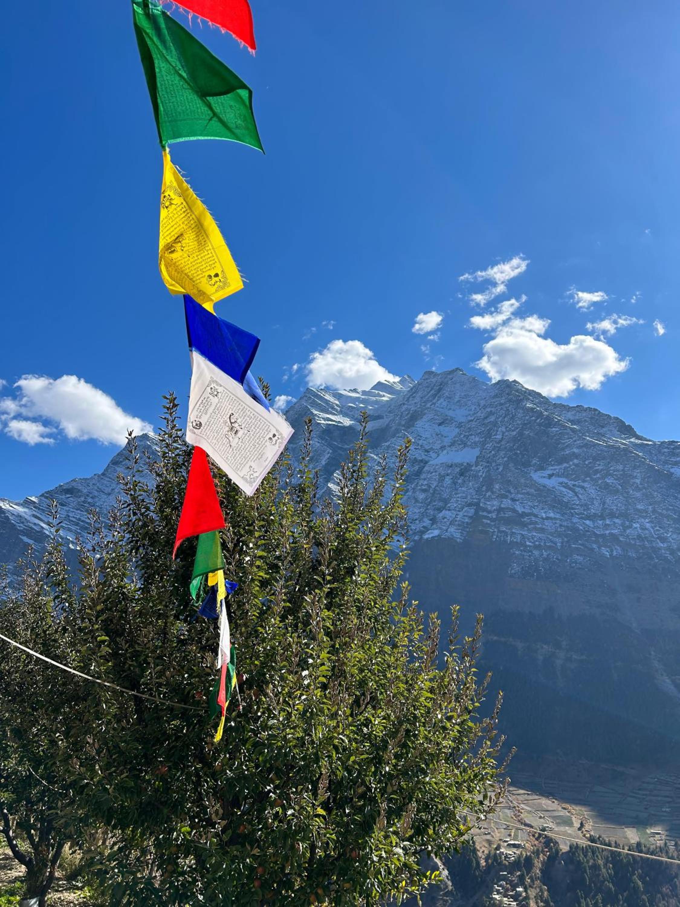 Valley View Homestay Lahaul