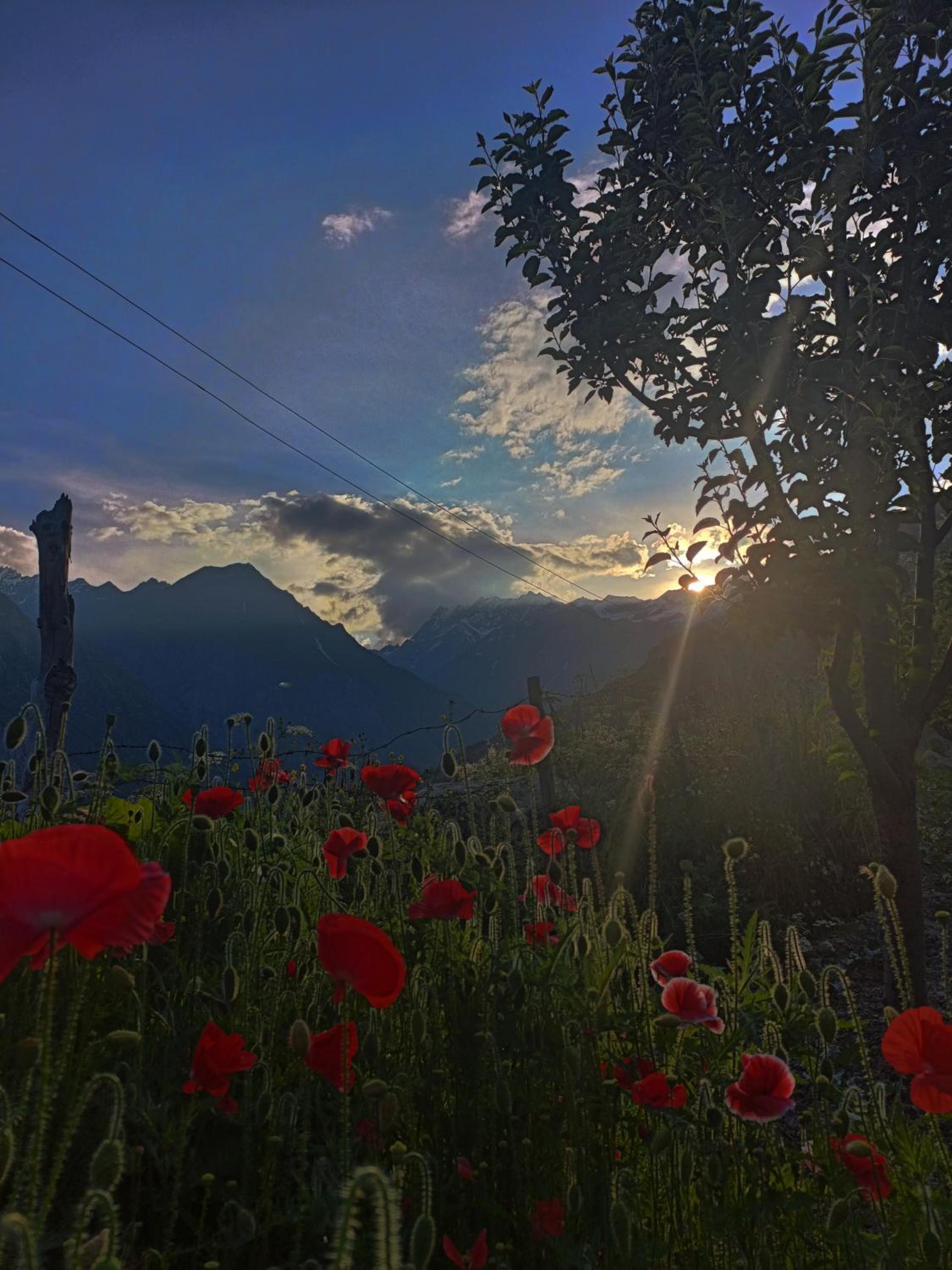 Valley View Homestay Lahaul