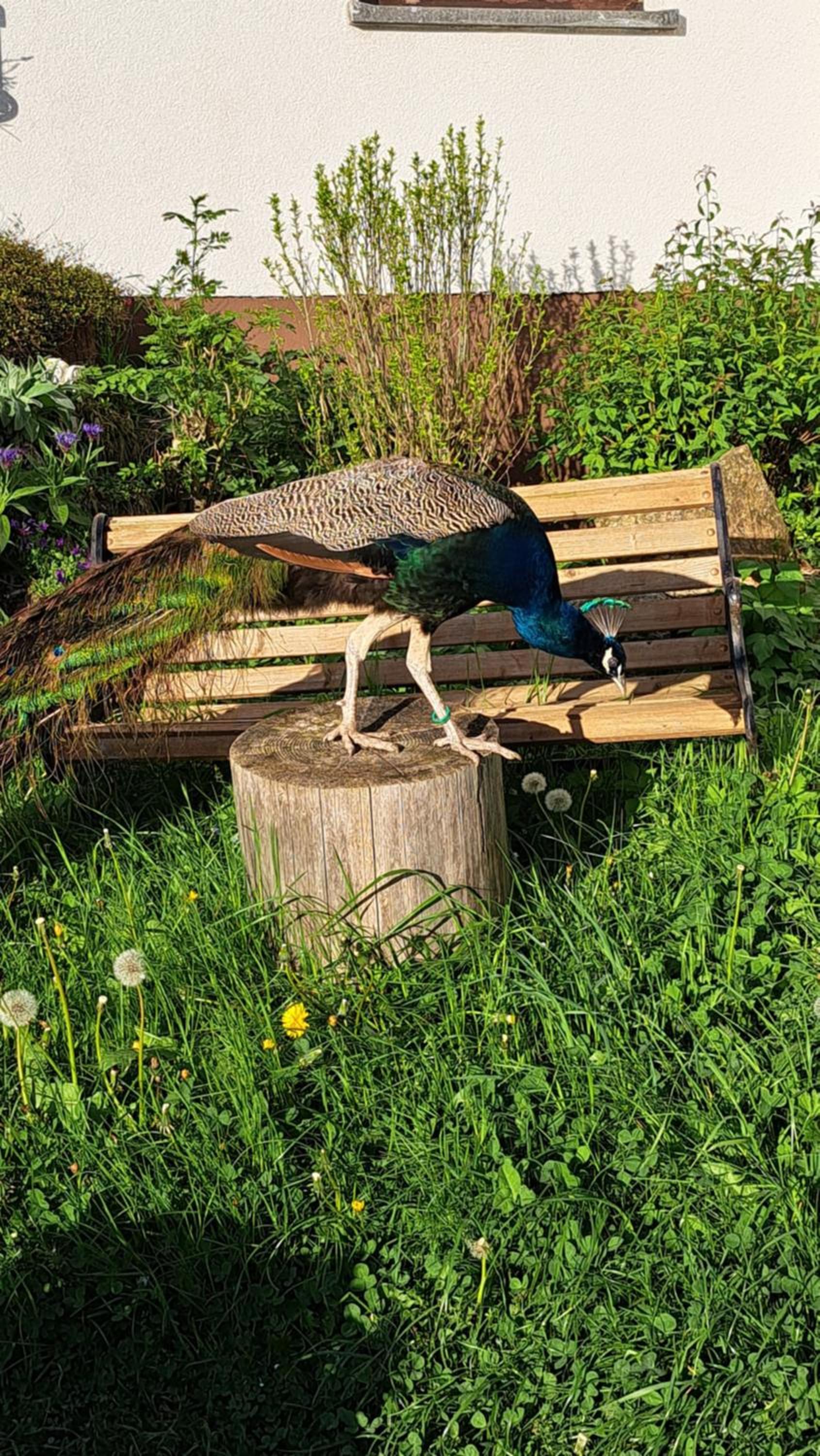 other