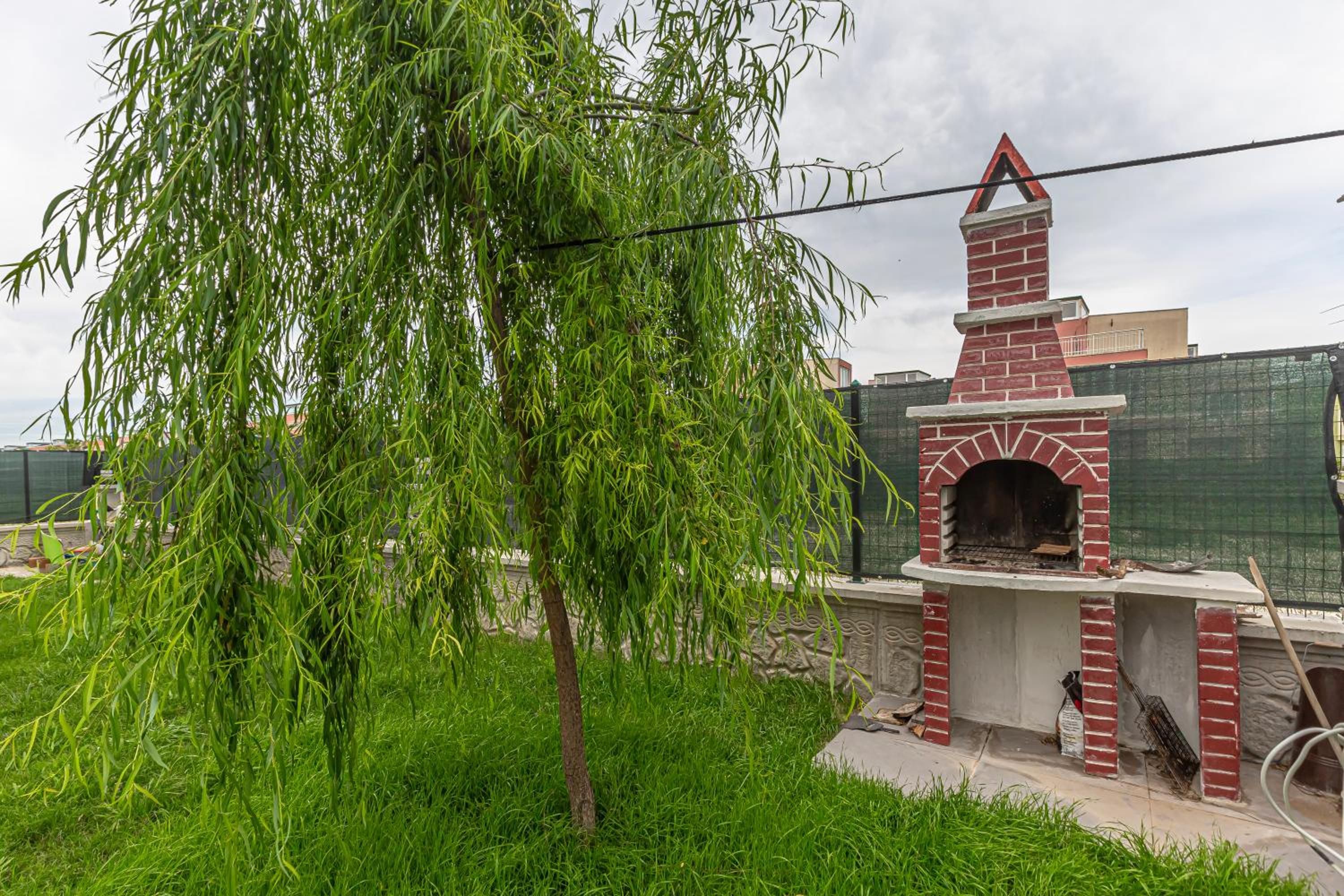 Photo 11