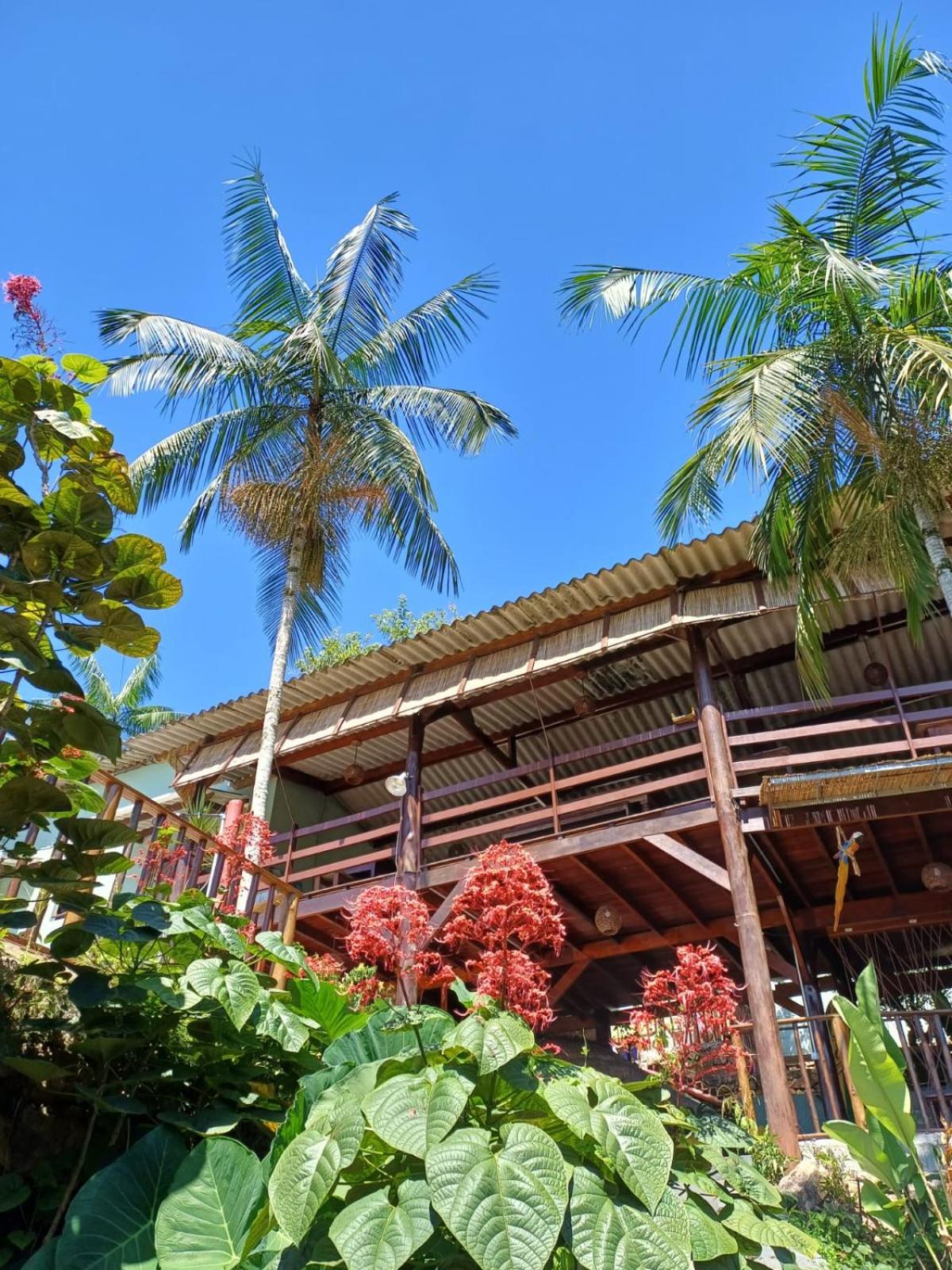 RAPANUI UBATUBA