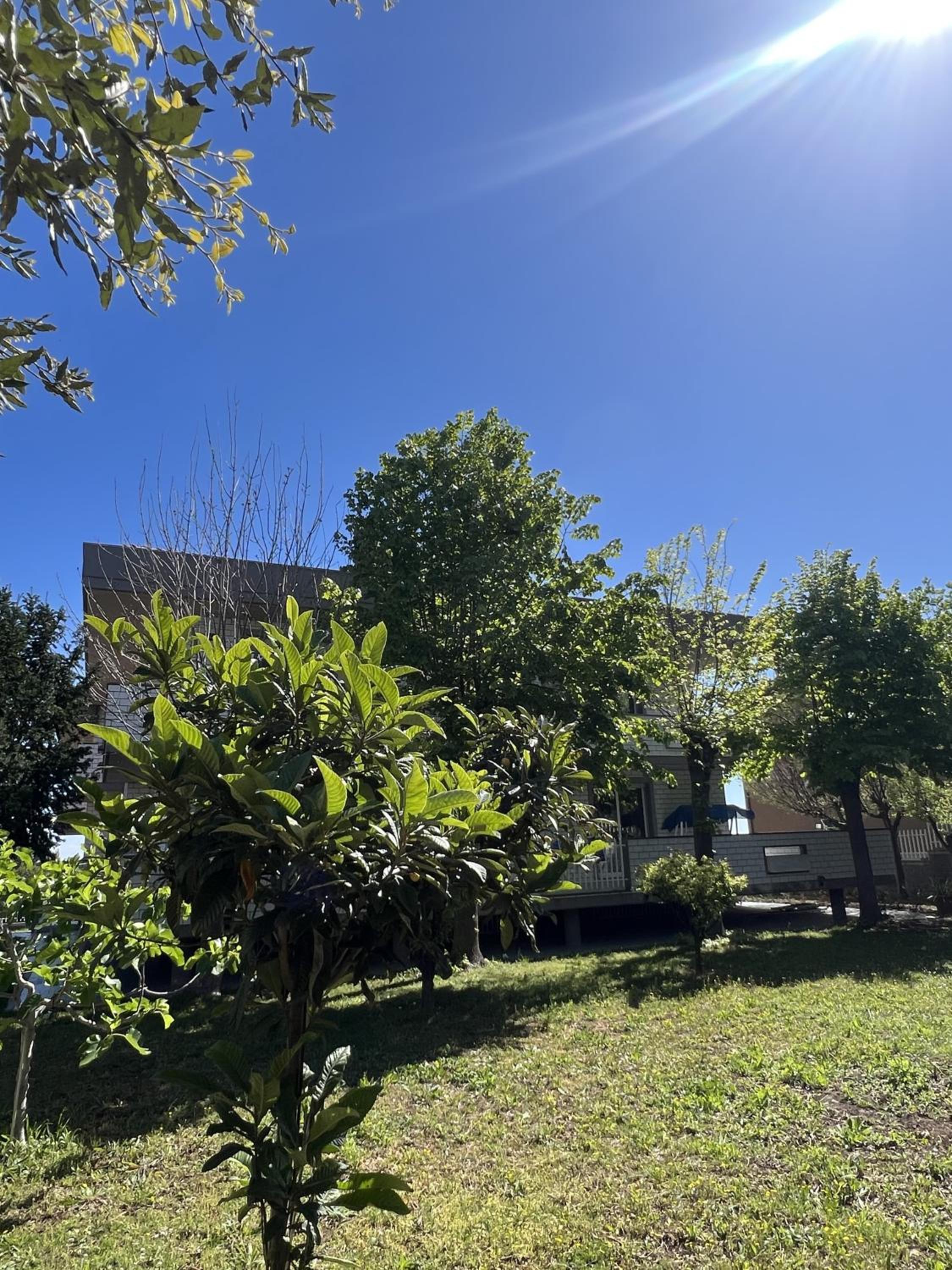 Villa Pescara, photo 108