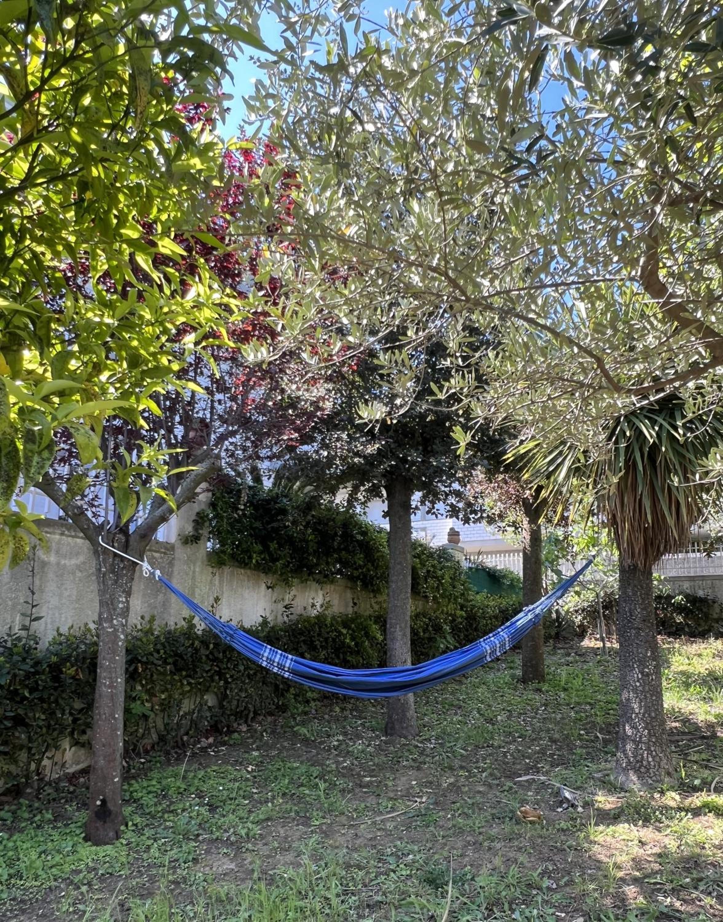 Villa Pescara, photo 87