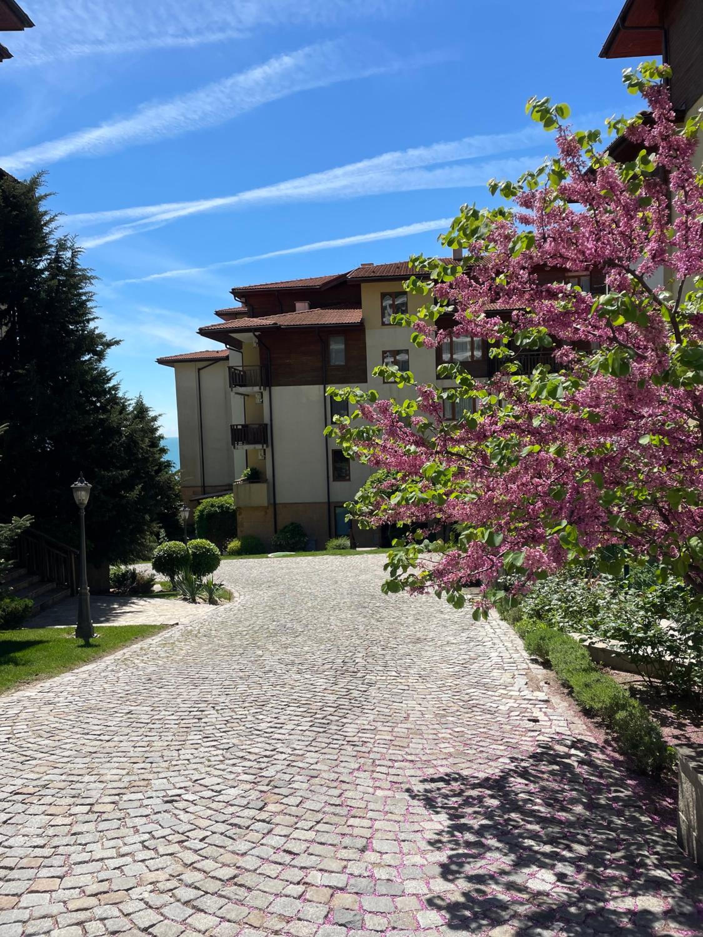 Garden of Eden, Maria Apartments, Sveti Vlas