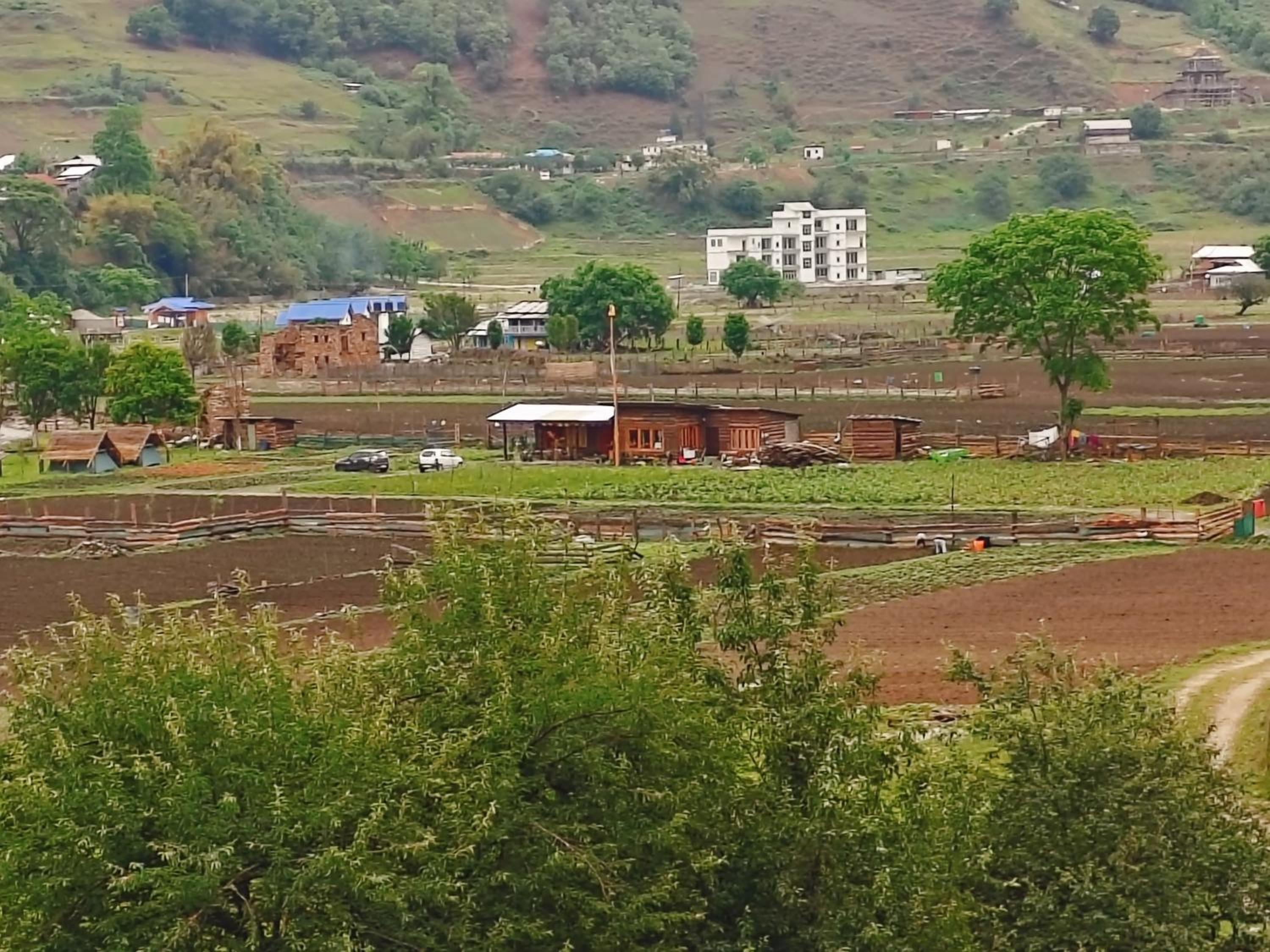 Tsejor Homestay