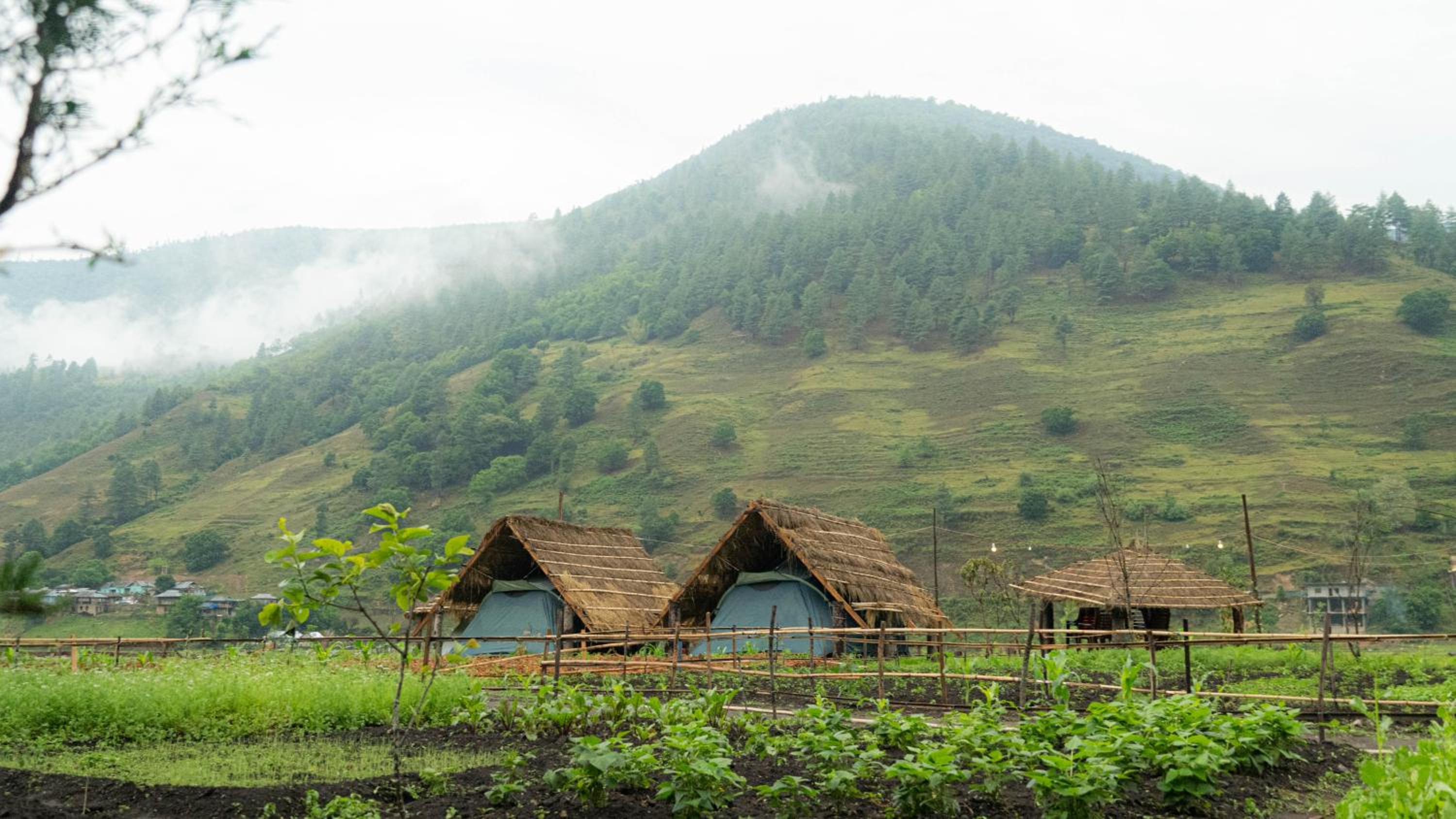 Tsejor Homestay