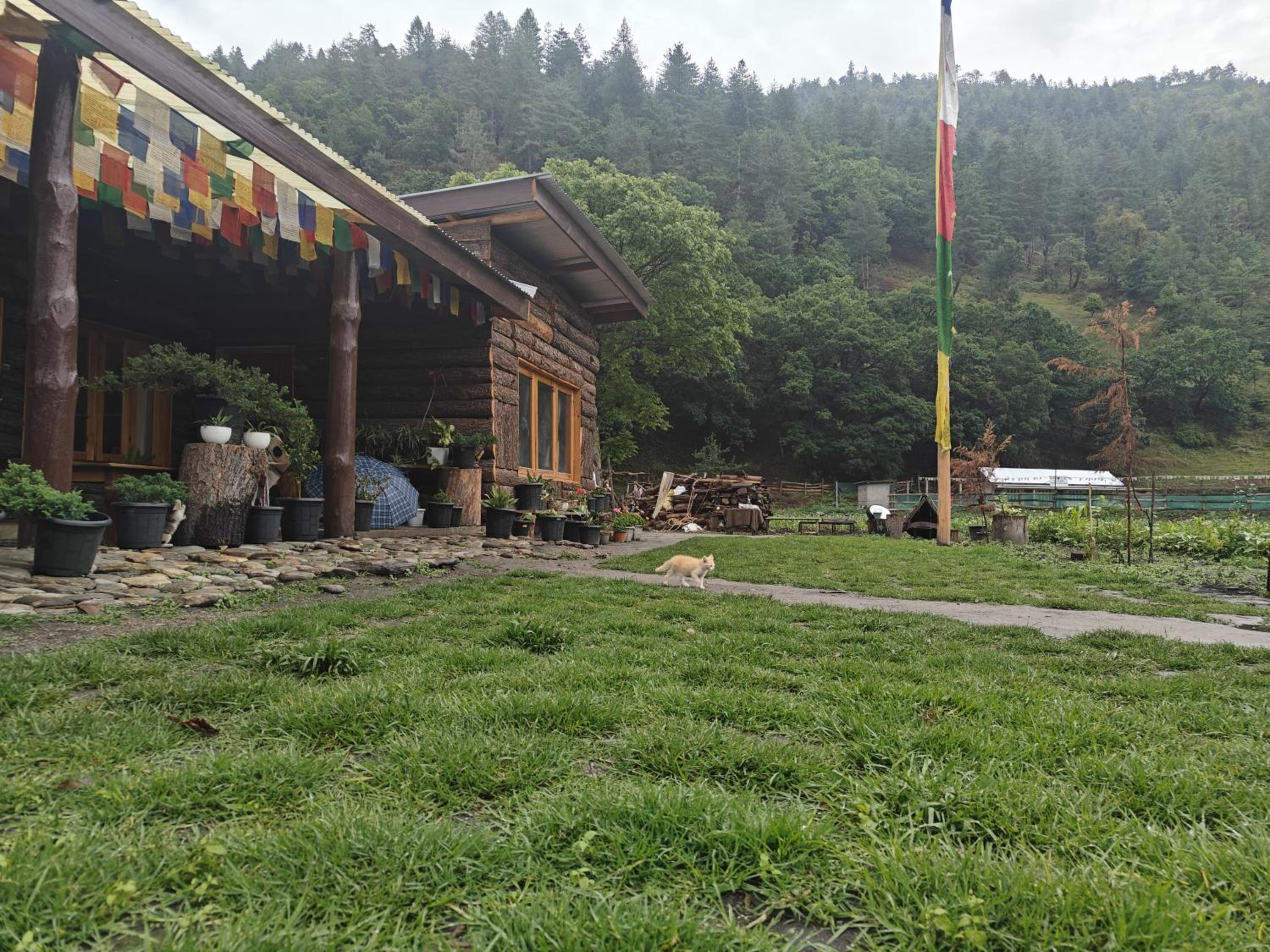 Tsejor Homestay