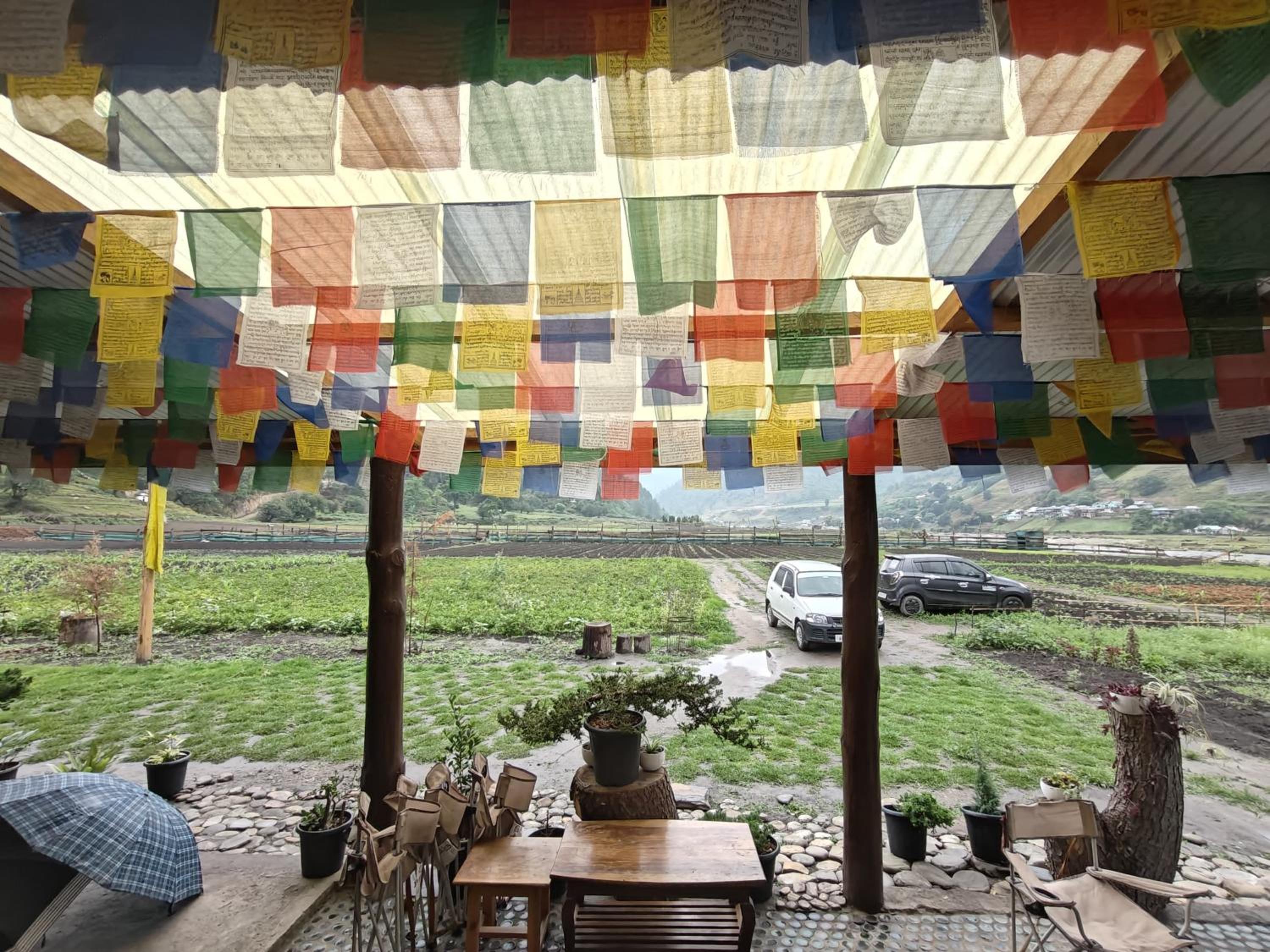 Tsejor Homestay