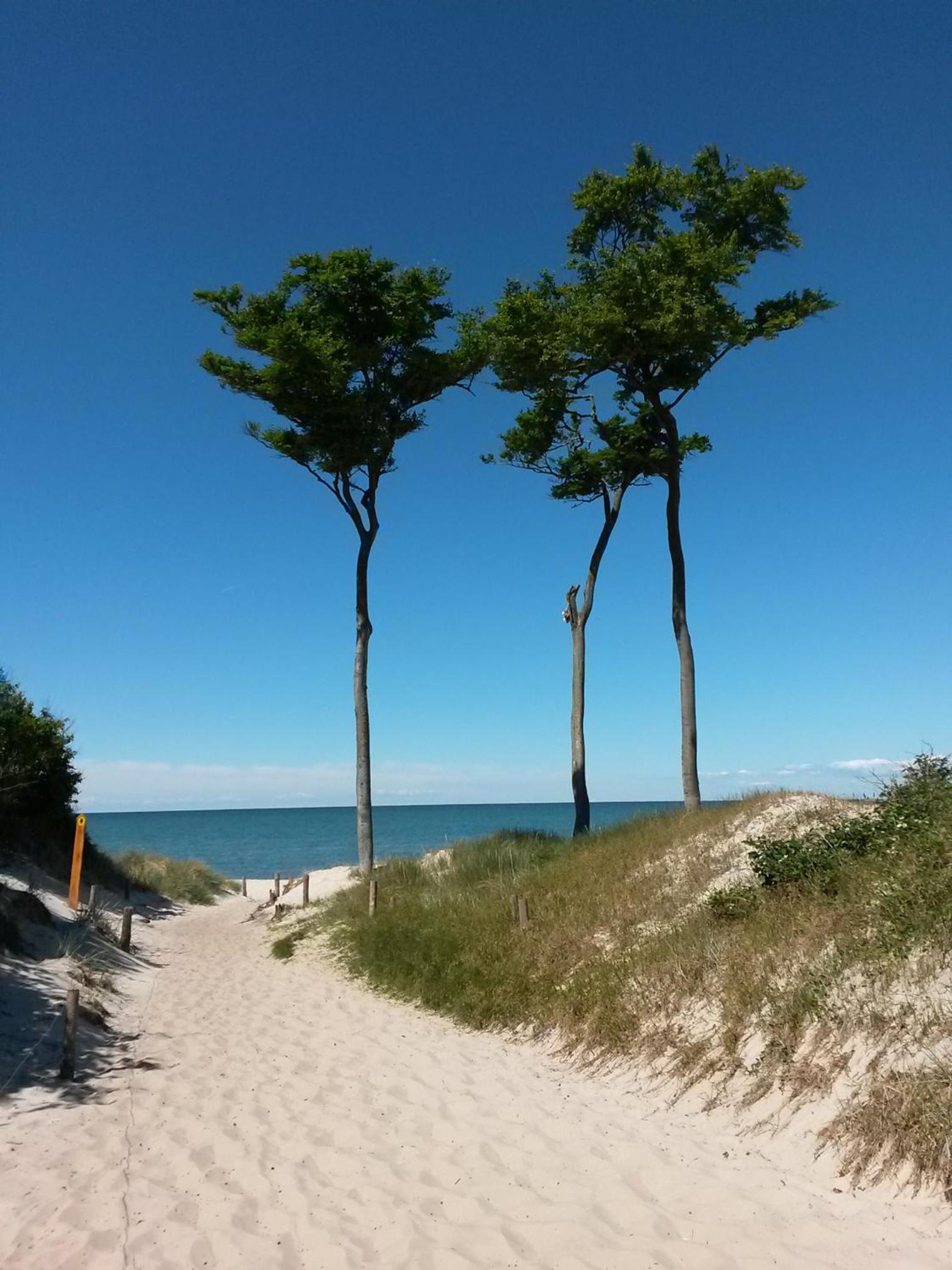 FeWo Rothirsch - Heuser Prerow view 4