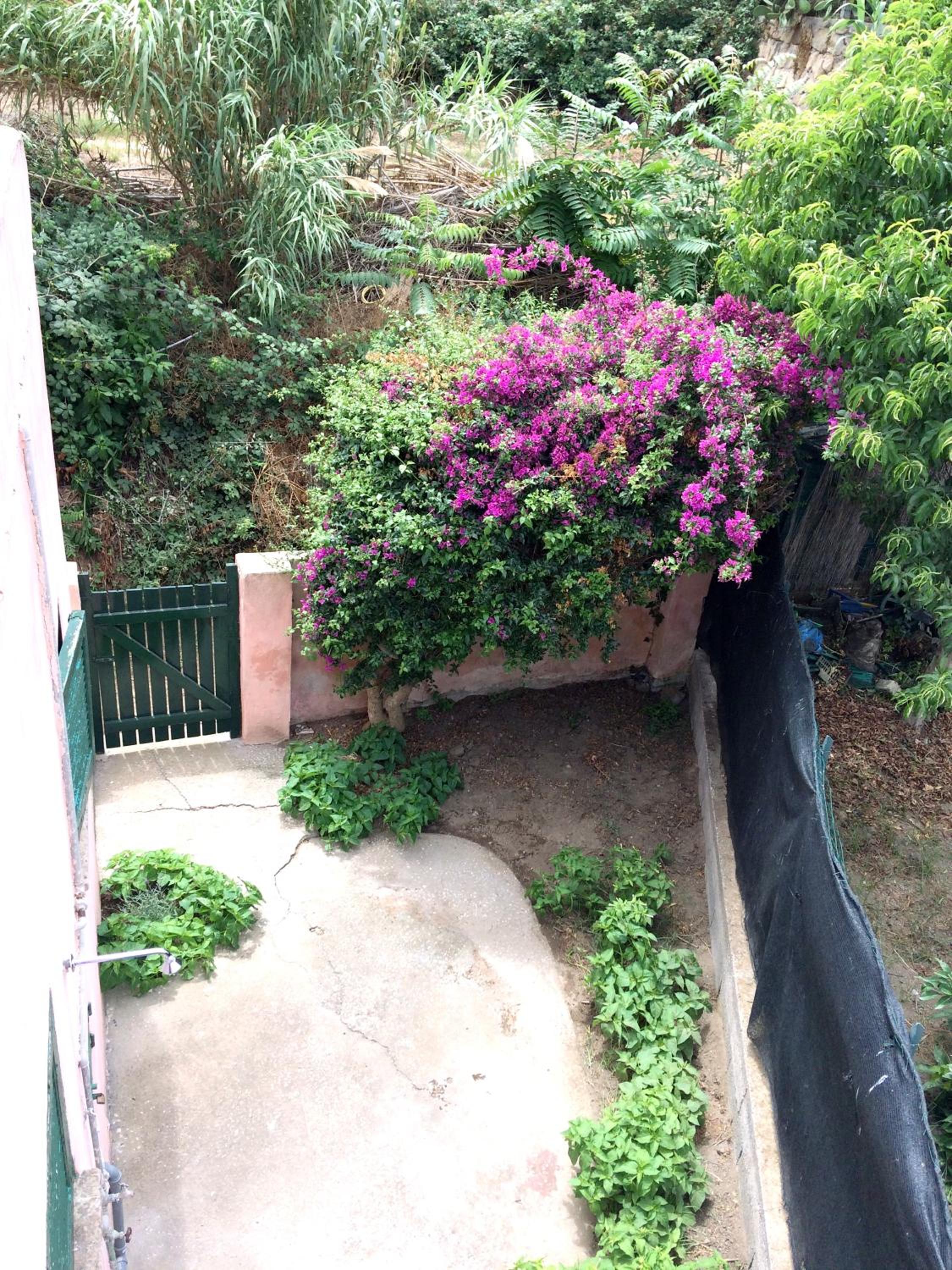 La casa di Vittorio de Feo view 2