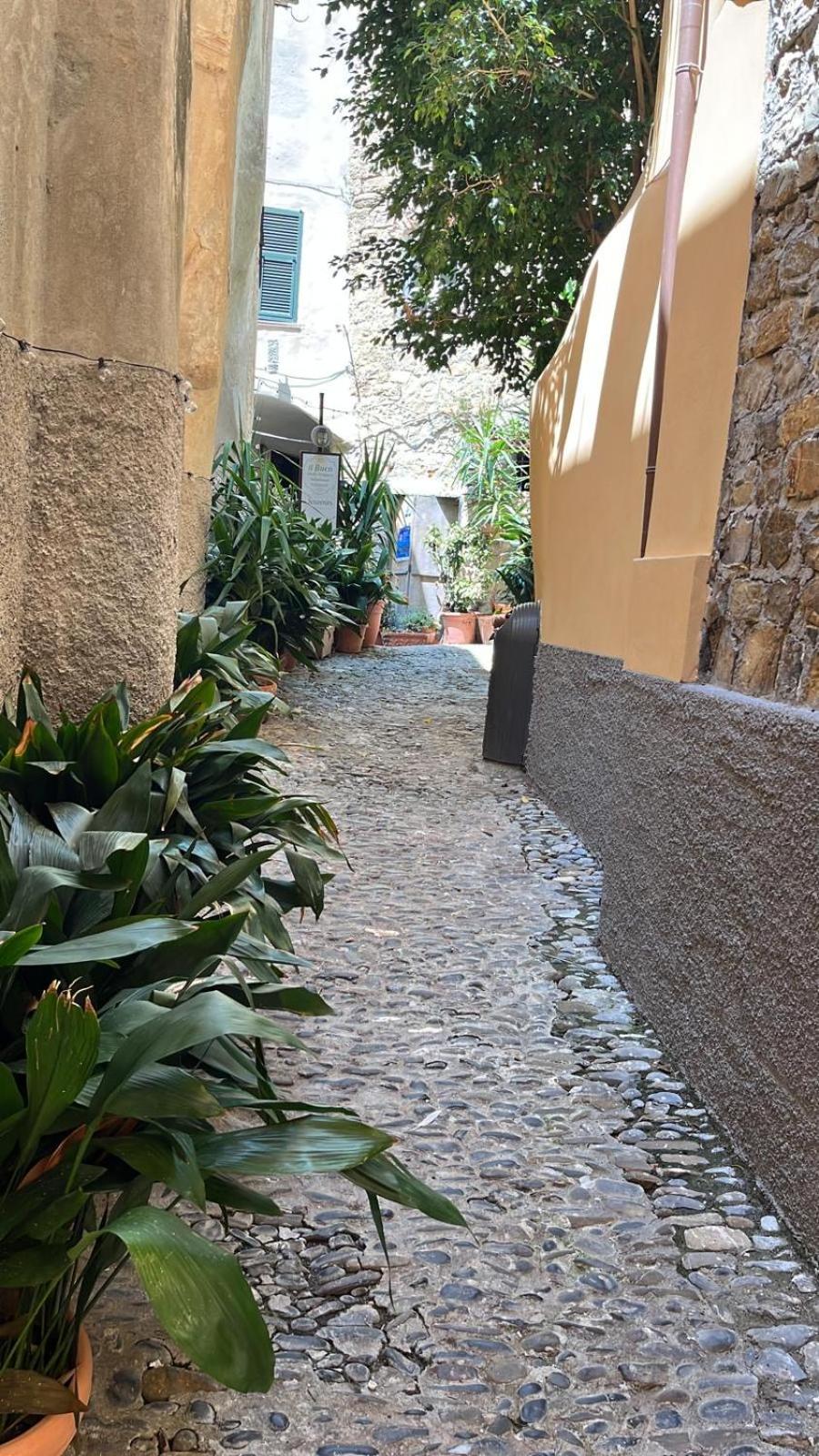 La finestra sul borgo