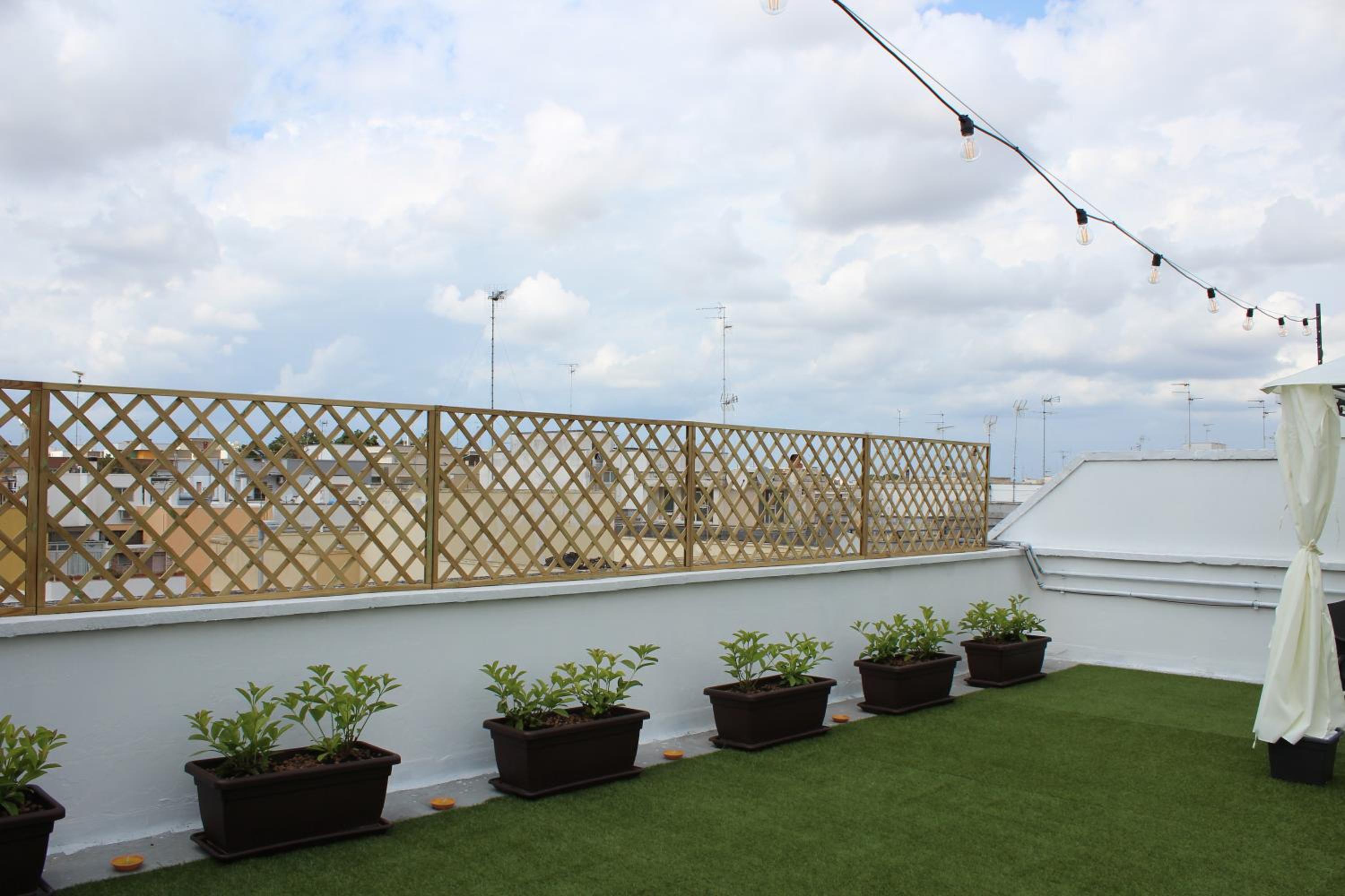 roof