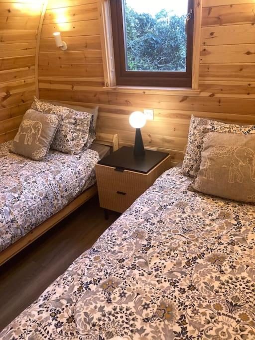 Eco-friendly Cabins Cabin 2 view 3