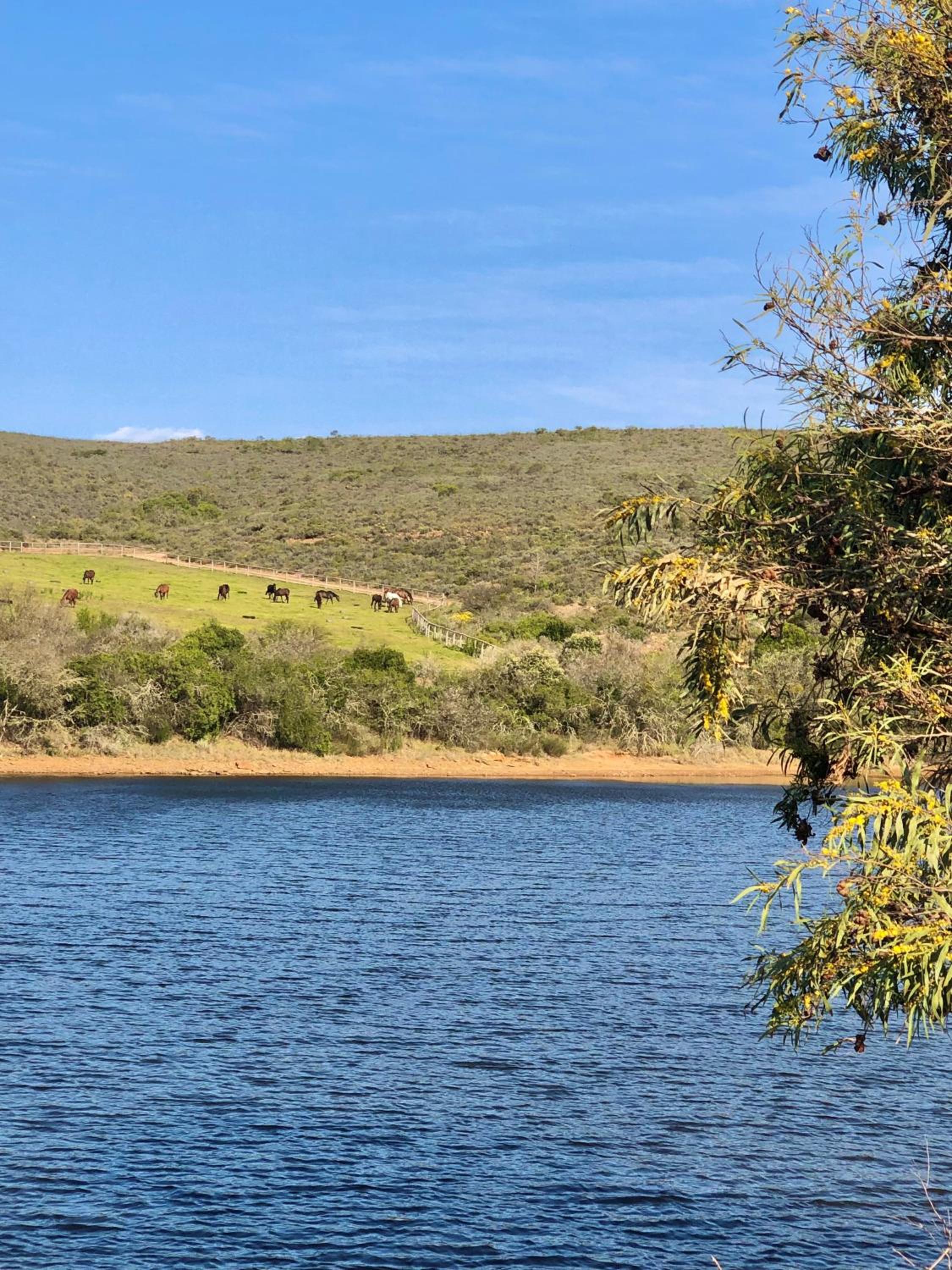Klawervlei Stud Guest House view 5