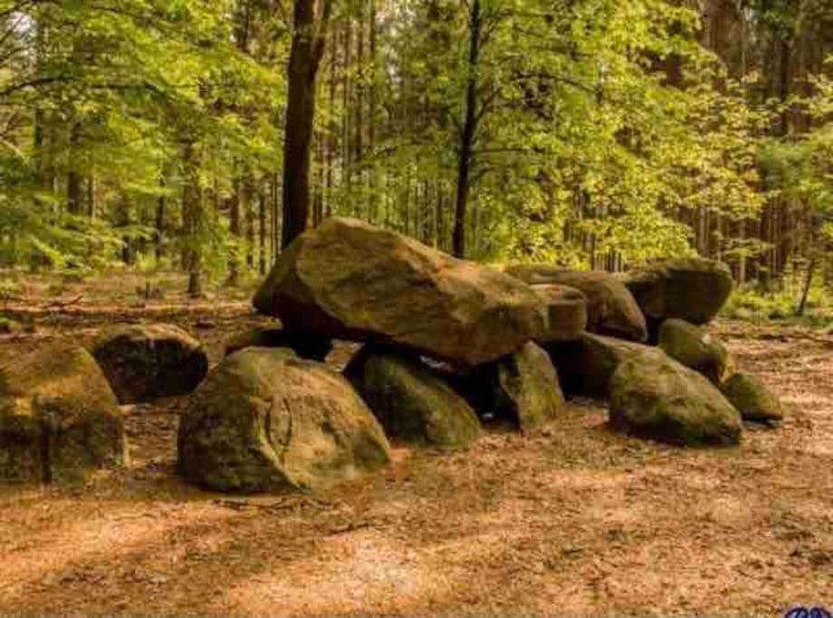 Chalet midden in de natuur!