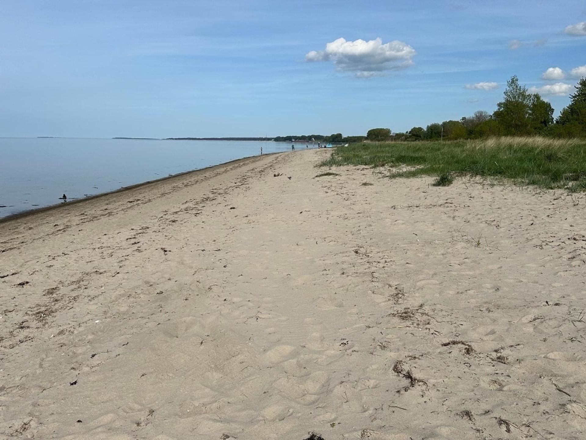 Ferienhaus für 4 Personen ca 50 m in Loissin, Norddeutschland Mecklenburg-Vorpommern