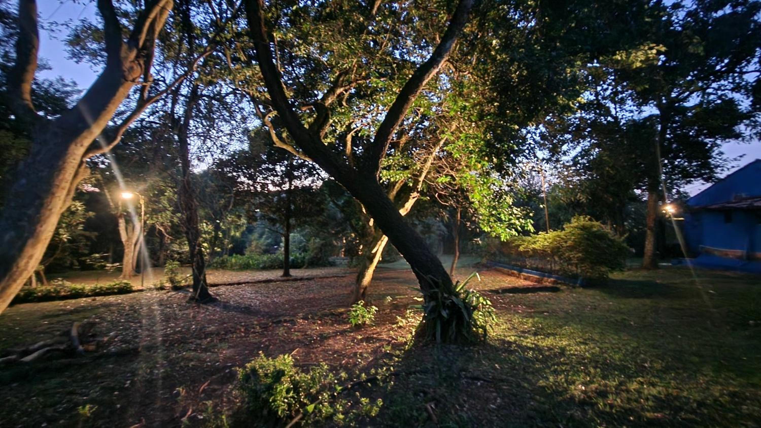 Photo 18