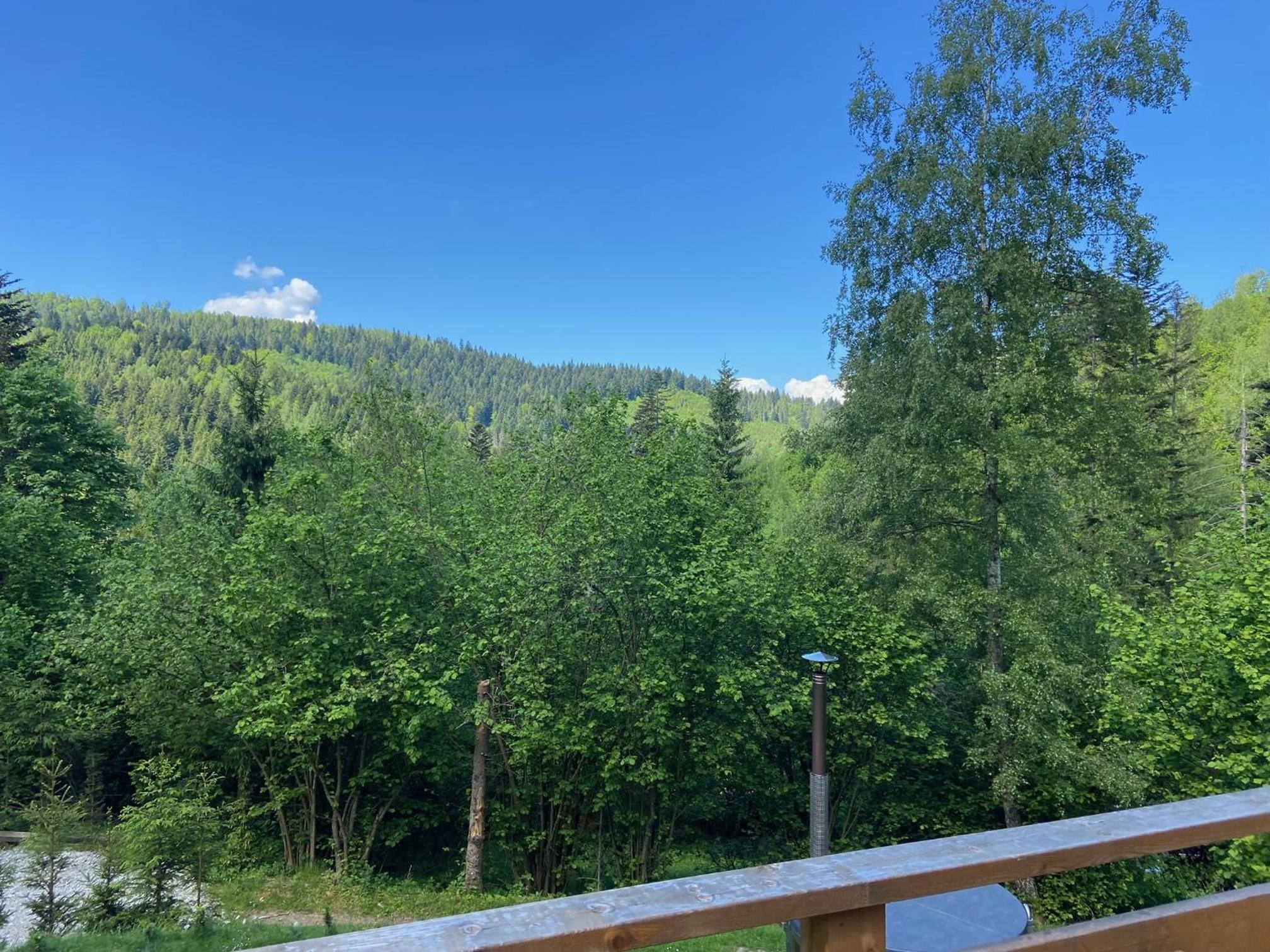 Chalet Kosorky
